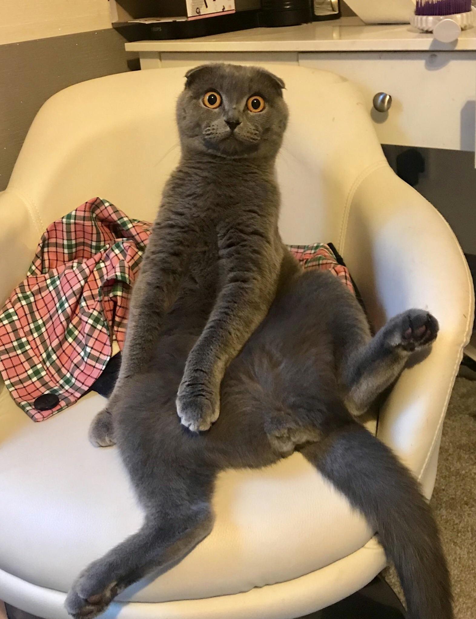 Oh Hi There
