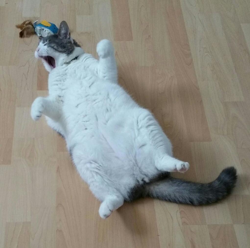 Old Man Has No Energy for Toys Anymore