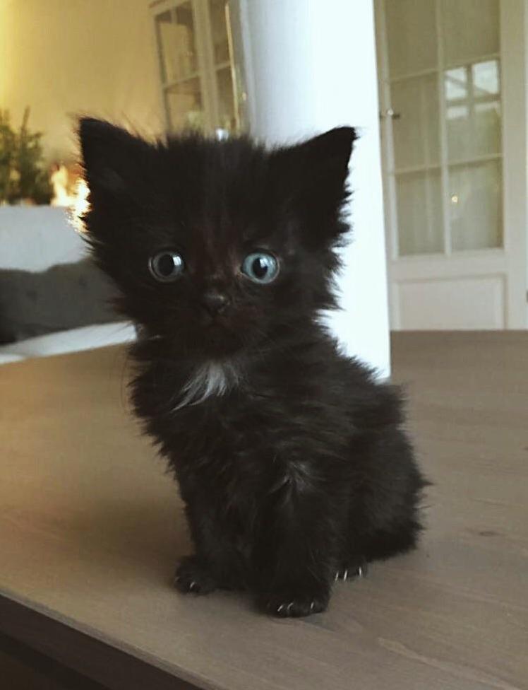 Our Little Girl