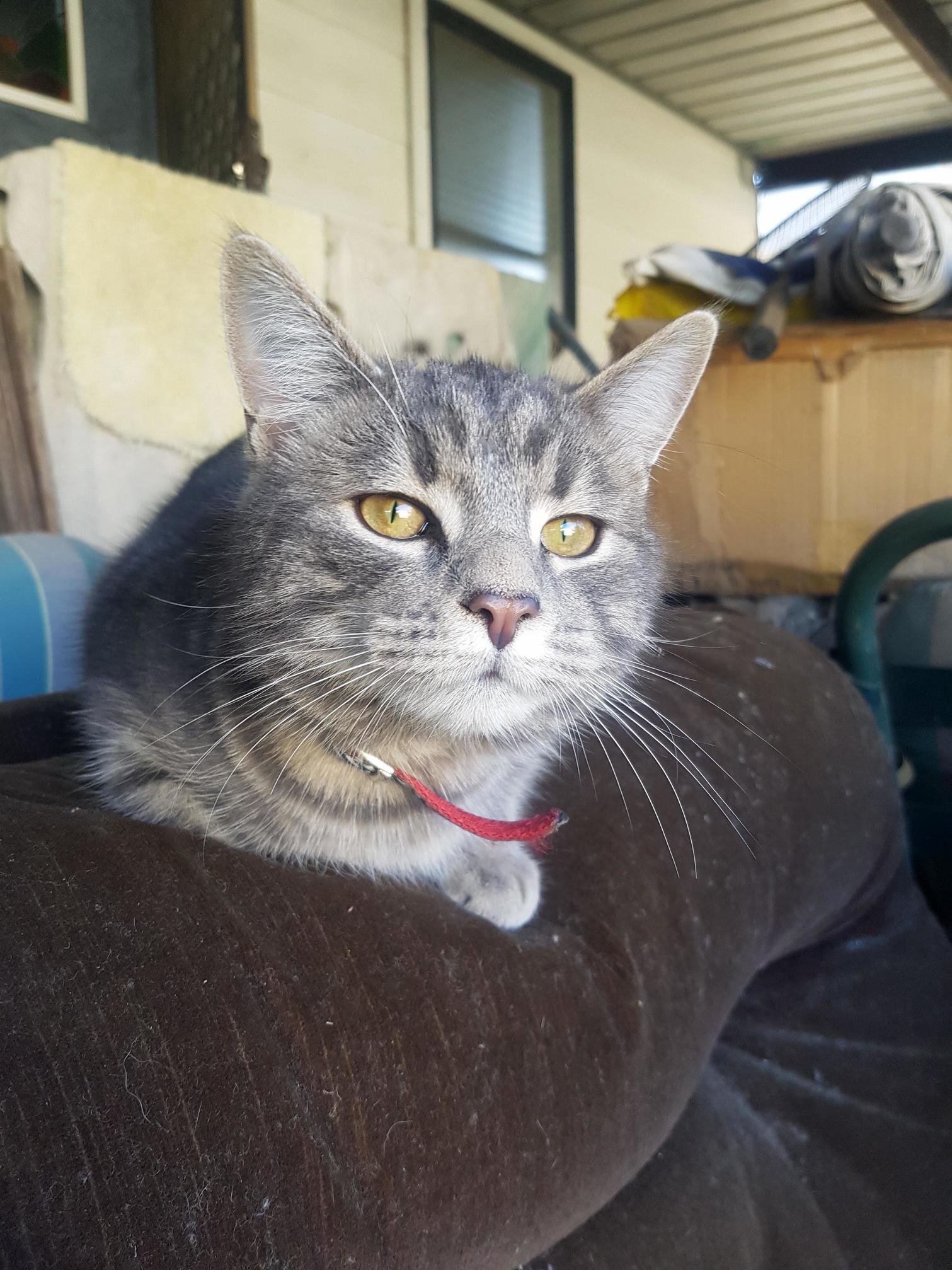 Say Hello to Our Curious Little Wally!