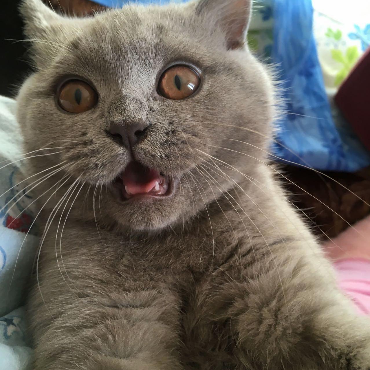 Selfie Time