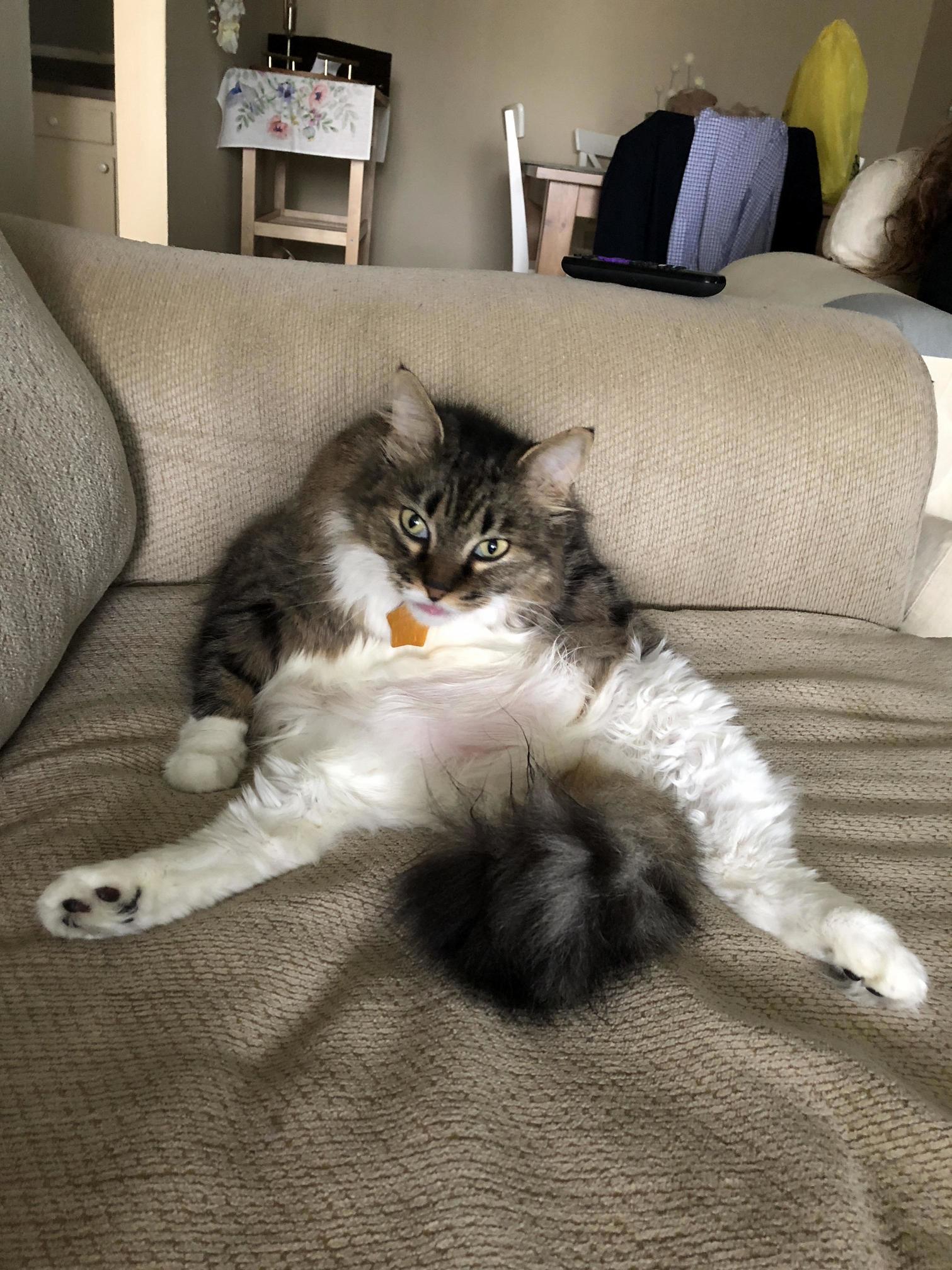 She...has a Great Personality. Sometimes. but We Love Her Anyways!