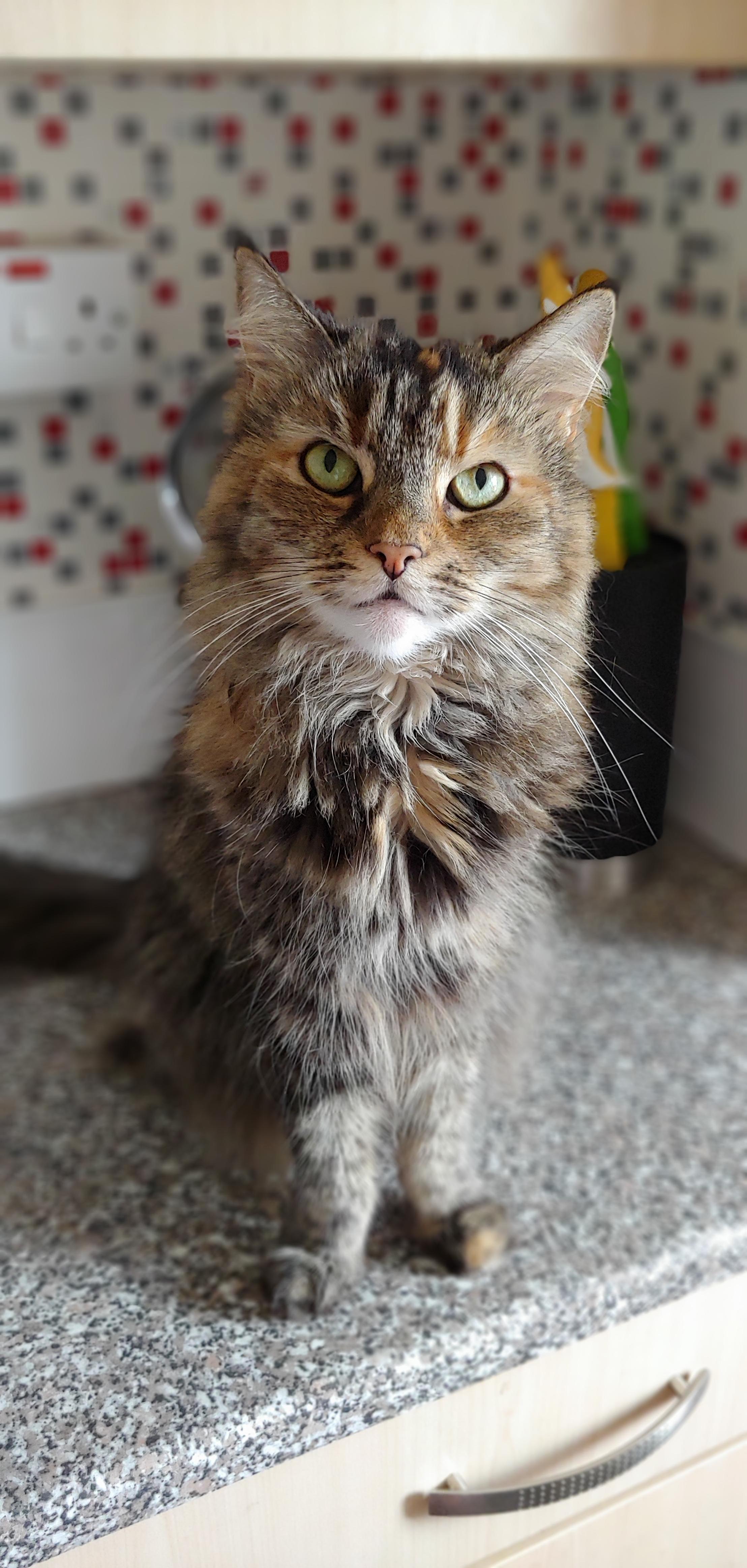 Shes Getting Older (11) but Shes Still Pretty
