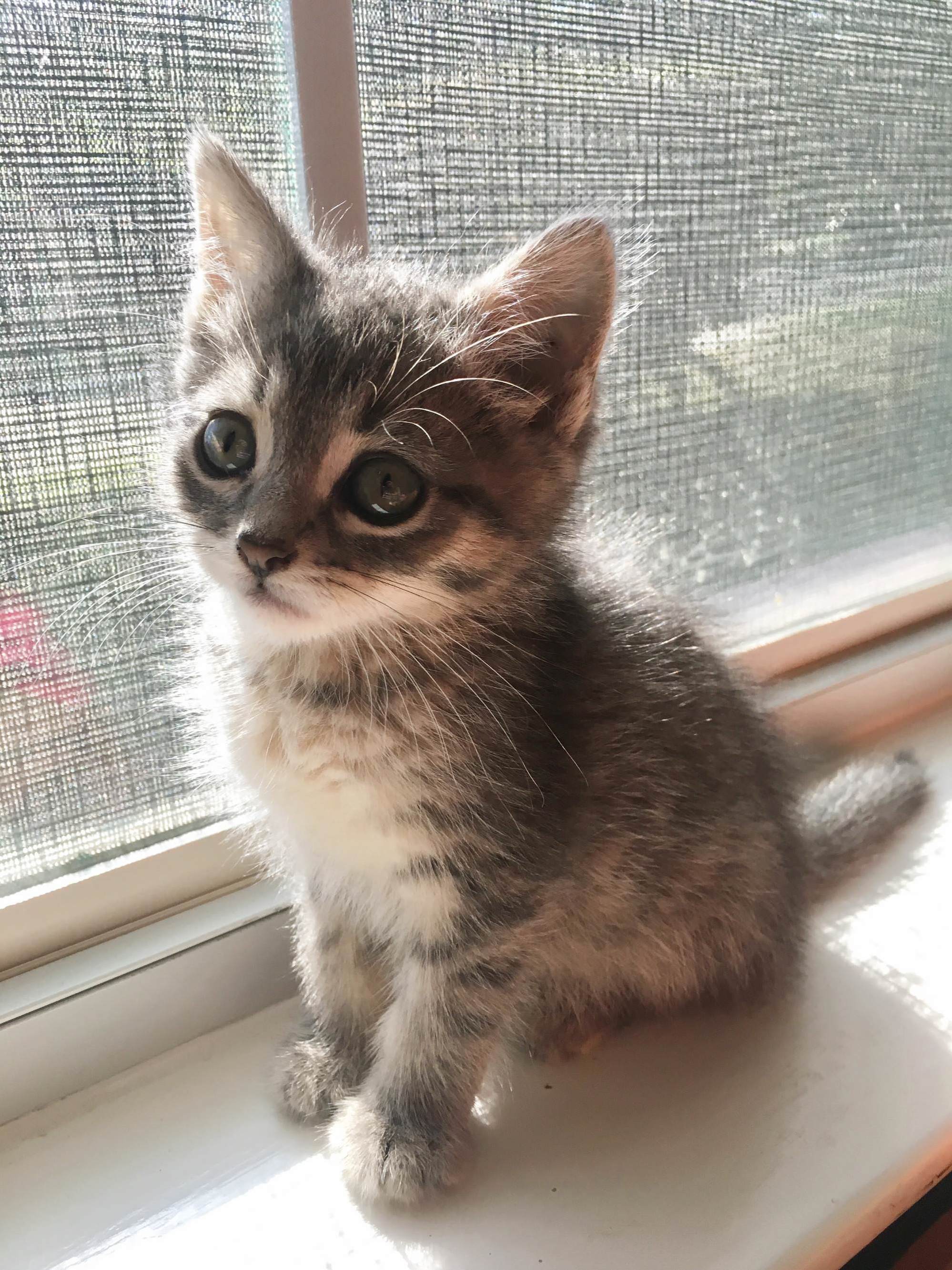 Should Have Named You Einstein