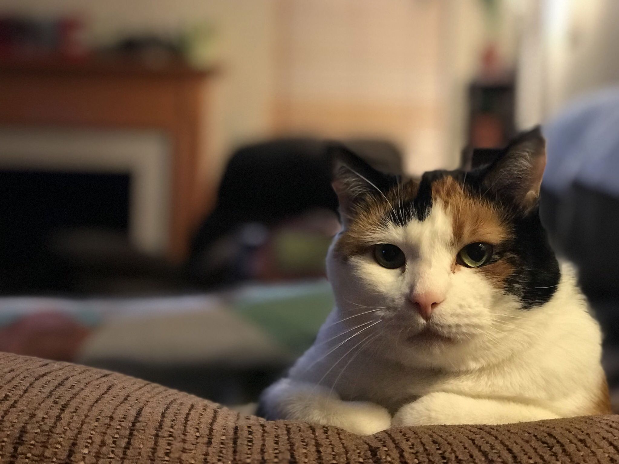 Sierra Loves Posing for Photos