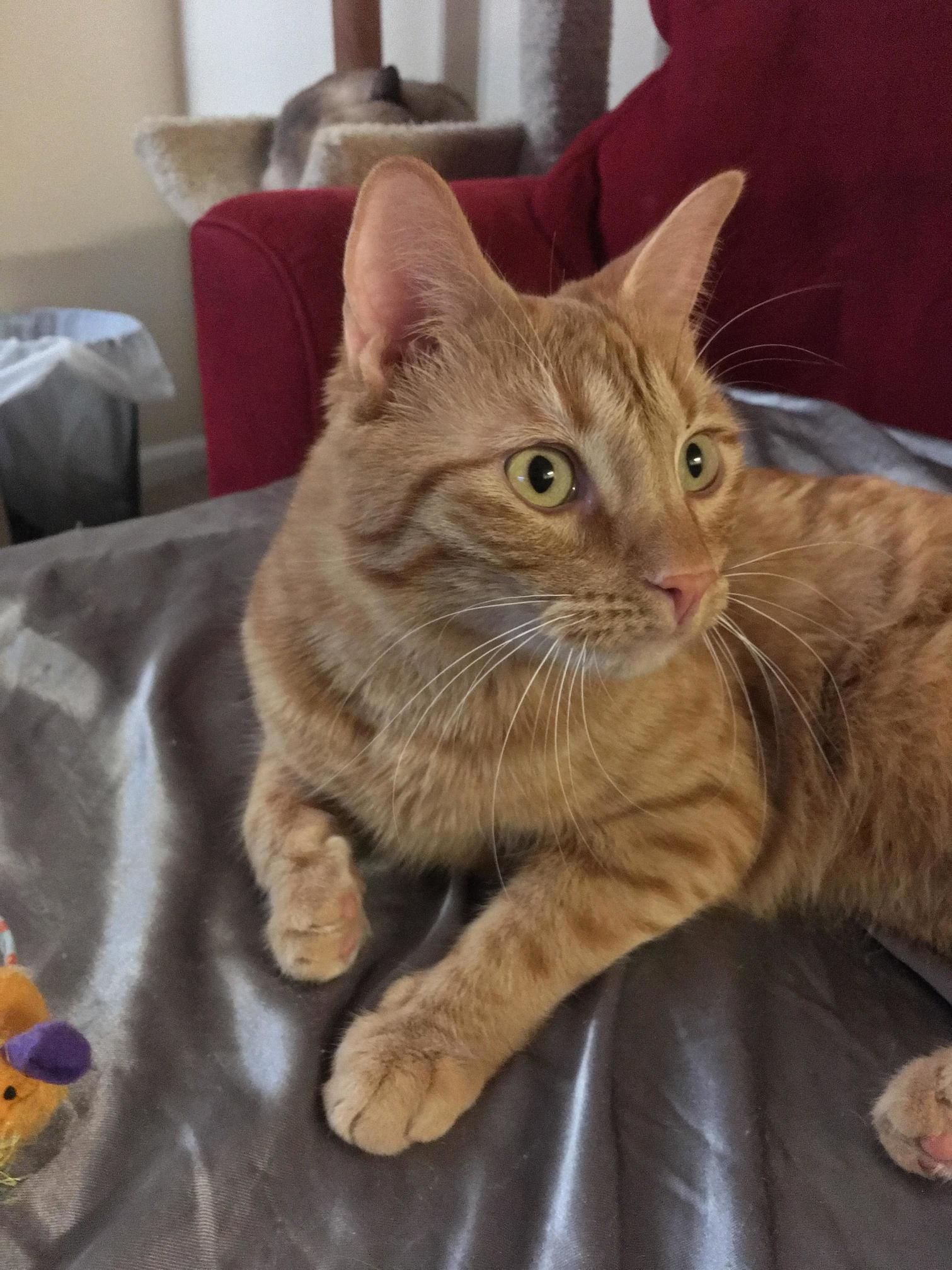 Slimy Has Quite the Whisker Stache