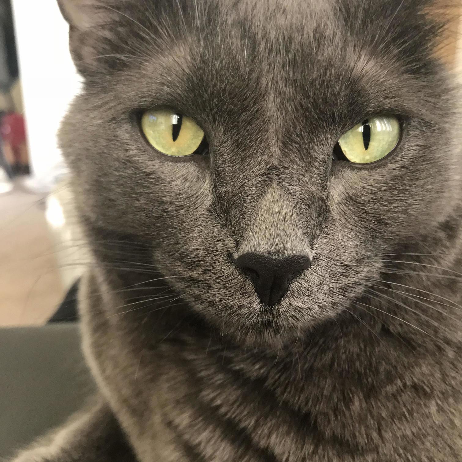 So Photogenic. Our Boy Leo.