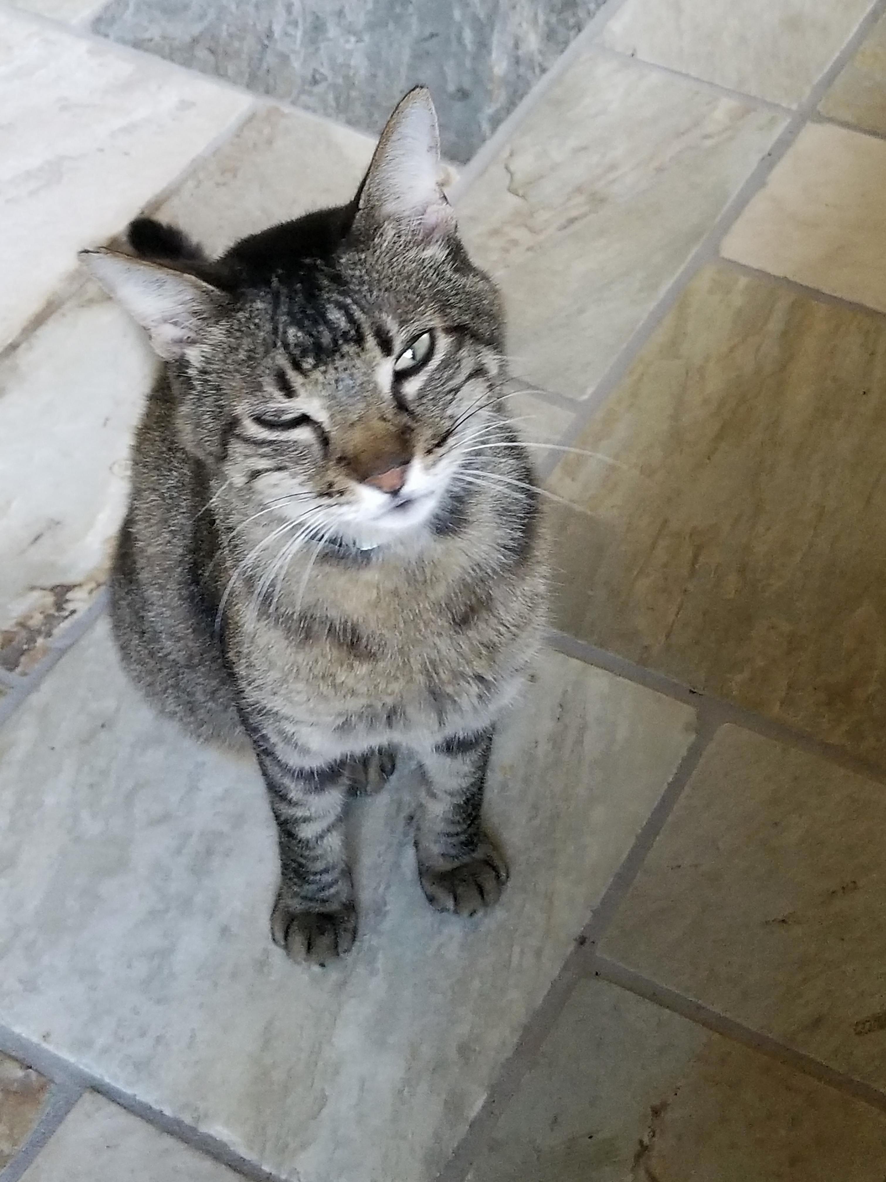 Someone Doesnt Like Getting Their Picture Taken