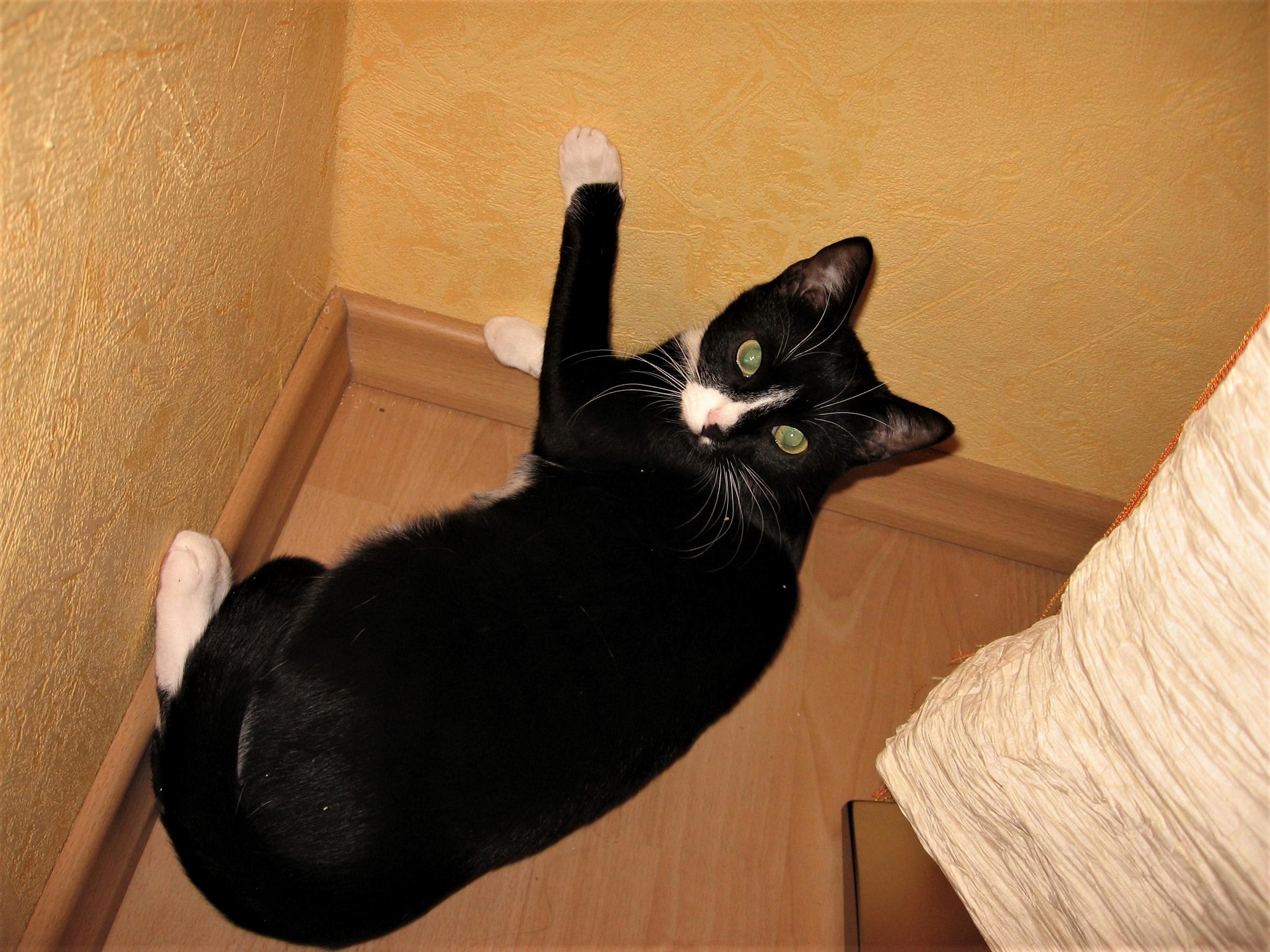Stop Scratching the Wallpaper I Have No Idea What Youre Talking About.