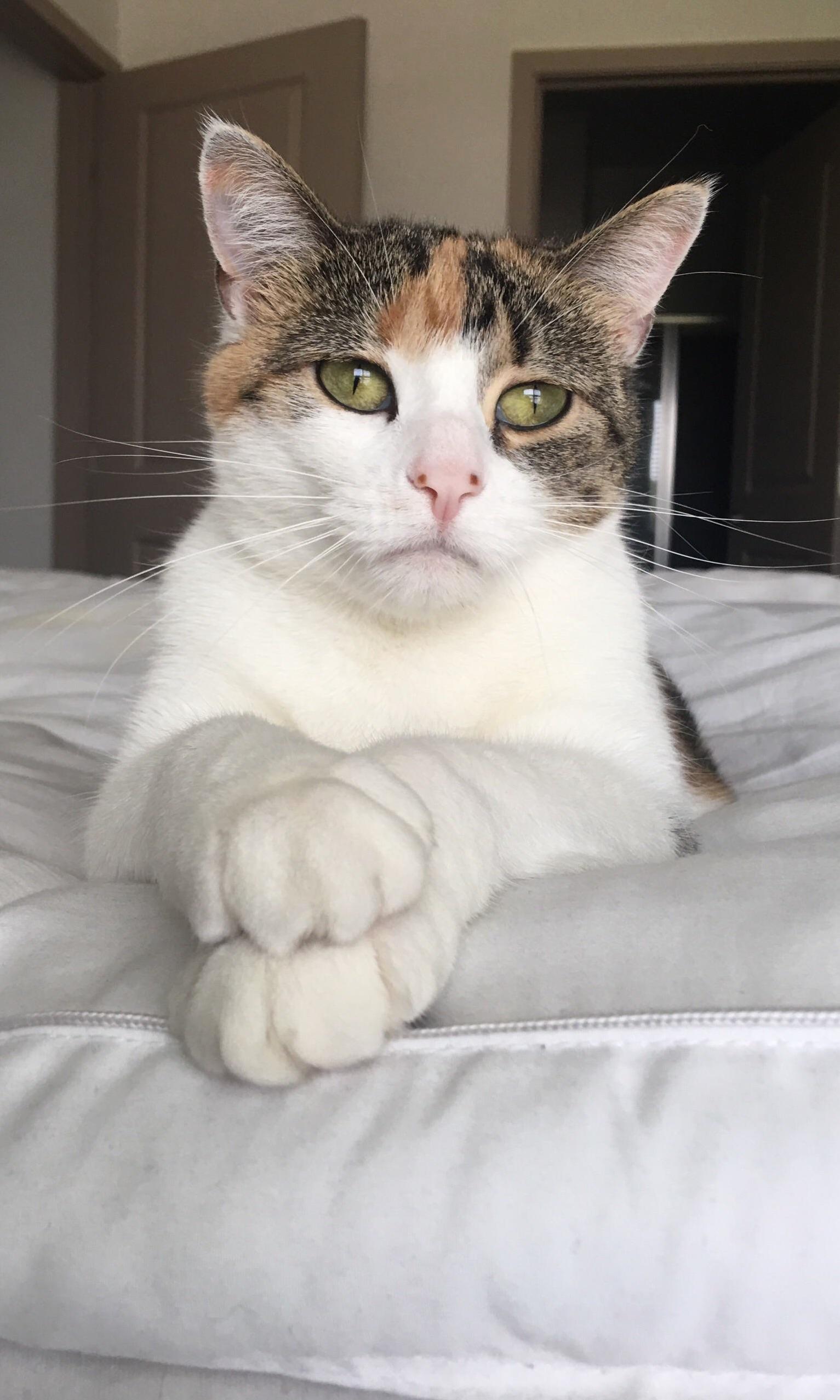Such a Lady