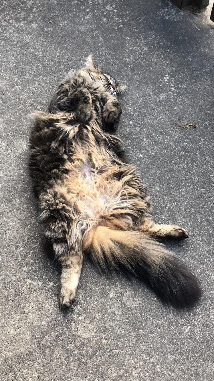 Sun Bathing!