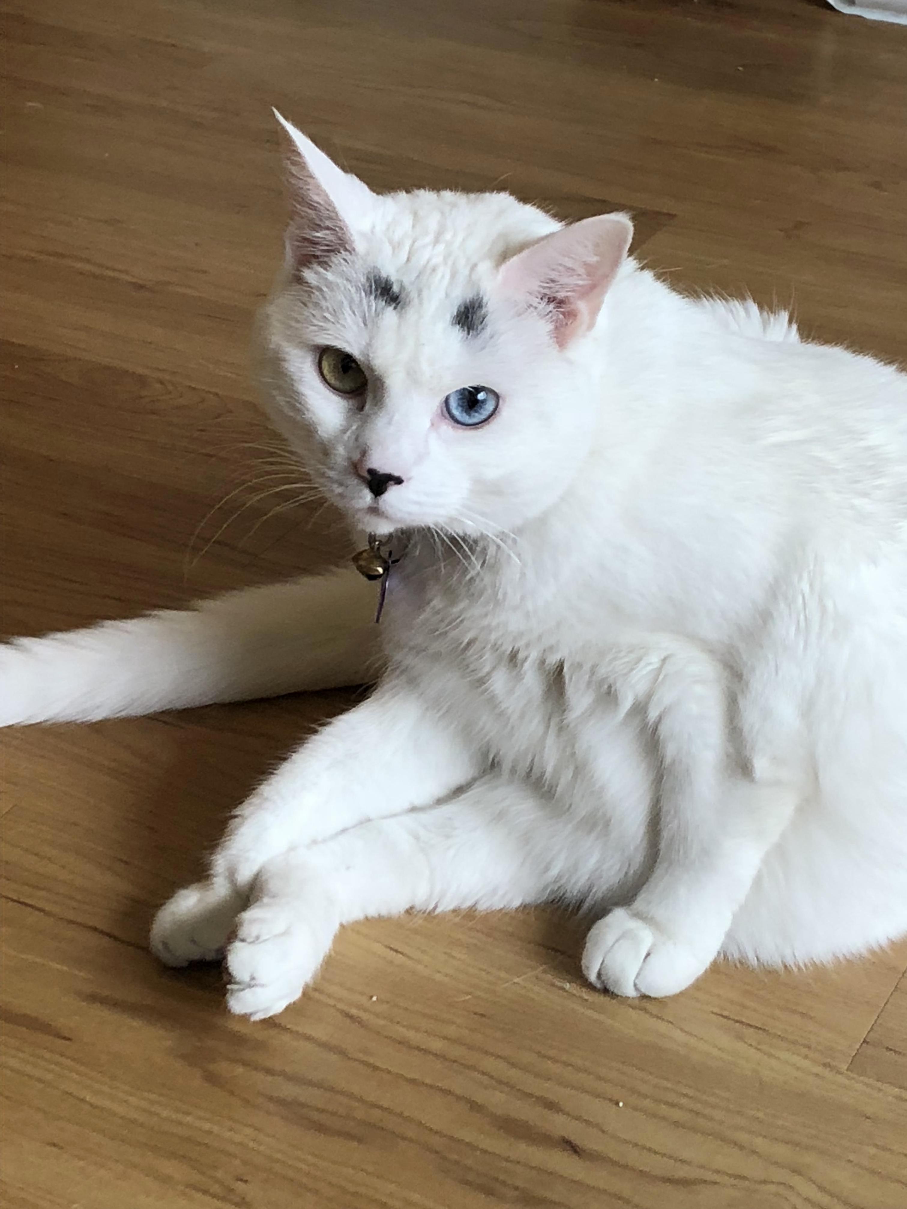 Sybil Sits Like a Weirdo.