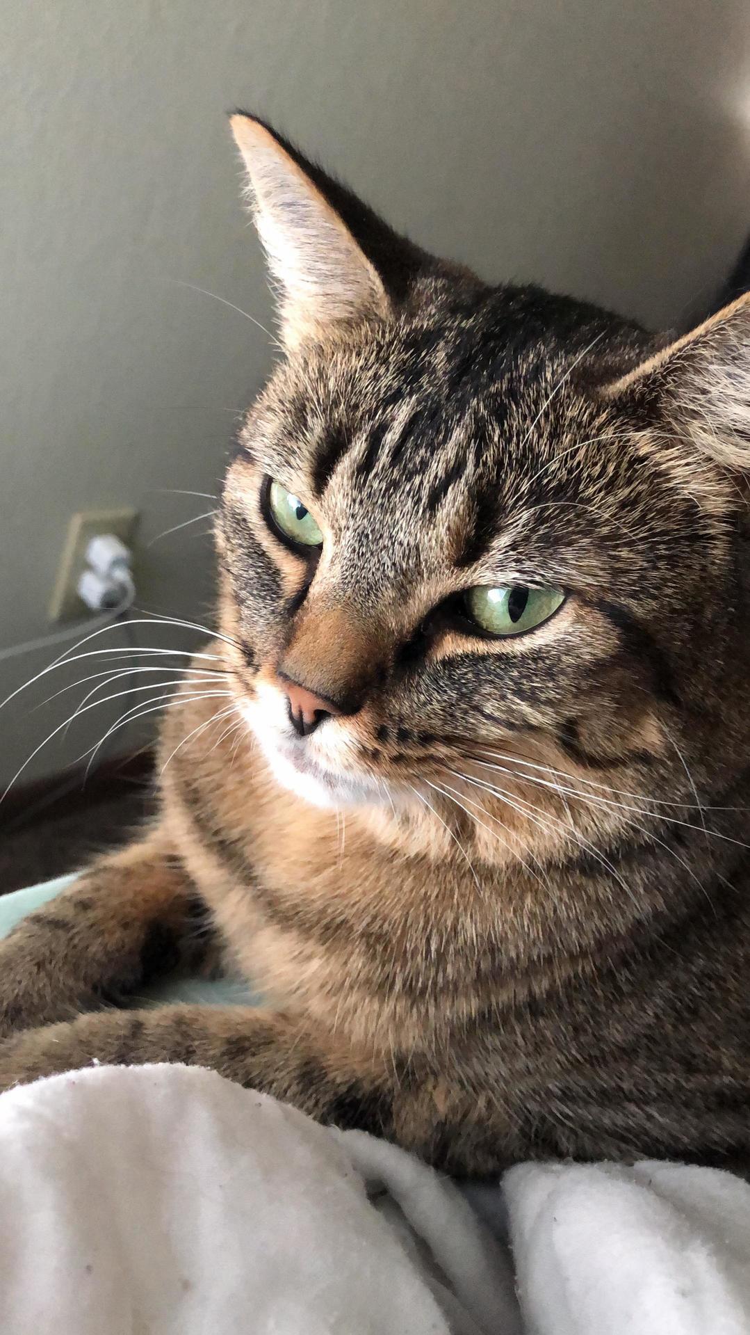 Telena Is the Prettiest Wake Up Call Ever