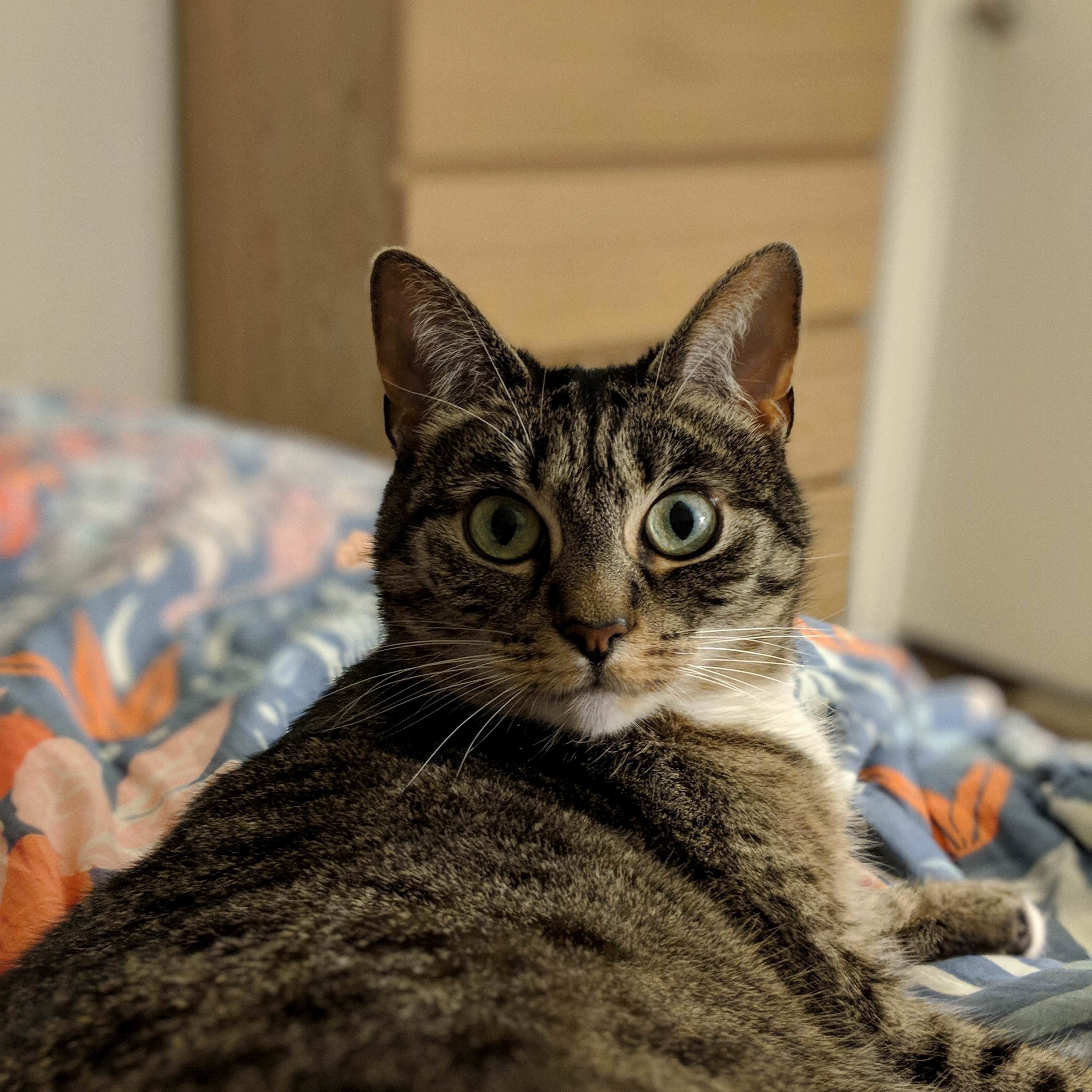This Is Chihiro. Shes Too Pretty for Her Own Good.