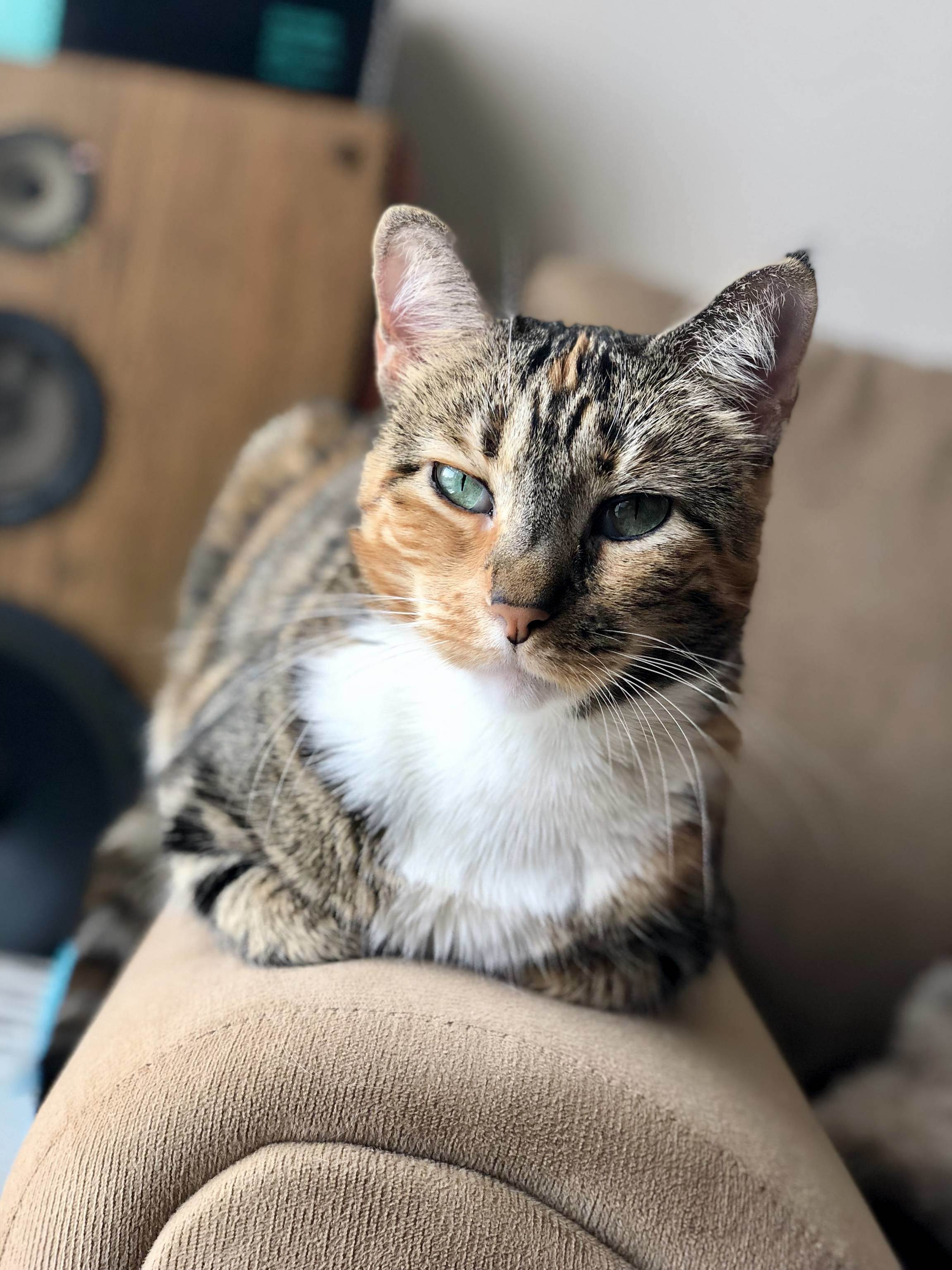 This Is Peanut. Shes a Sweetheart.