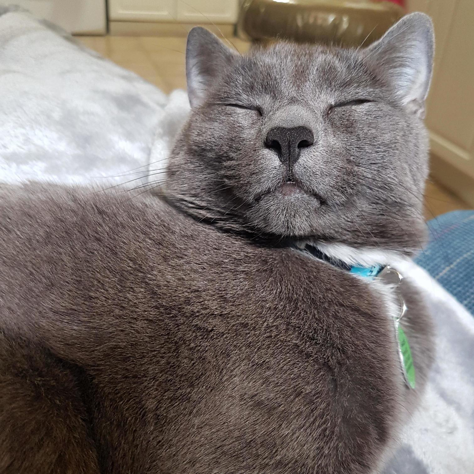 This Is What Being Content Looks Like