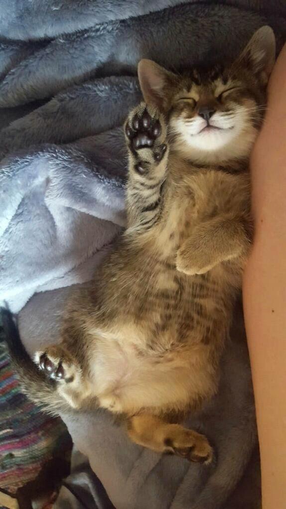 This One Has Been Melting Our Hearts for Three Weeks Now. Meet Bee!