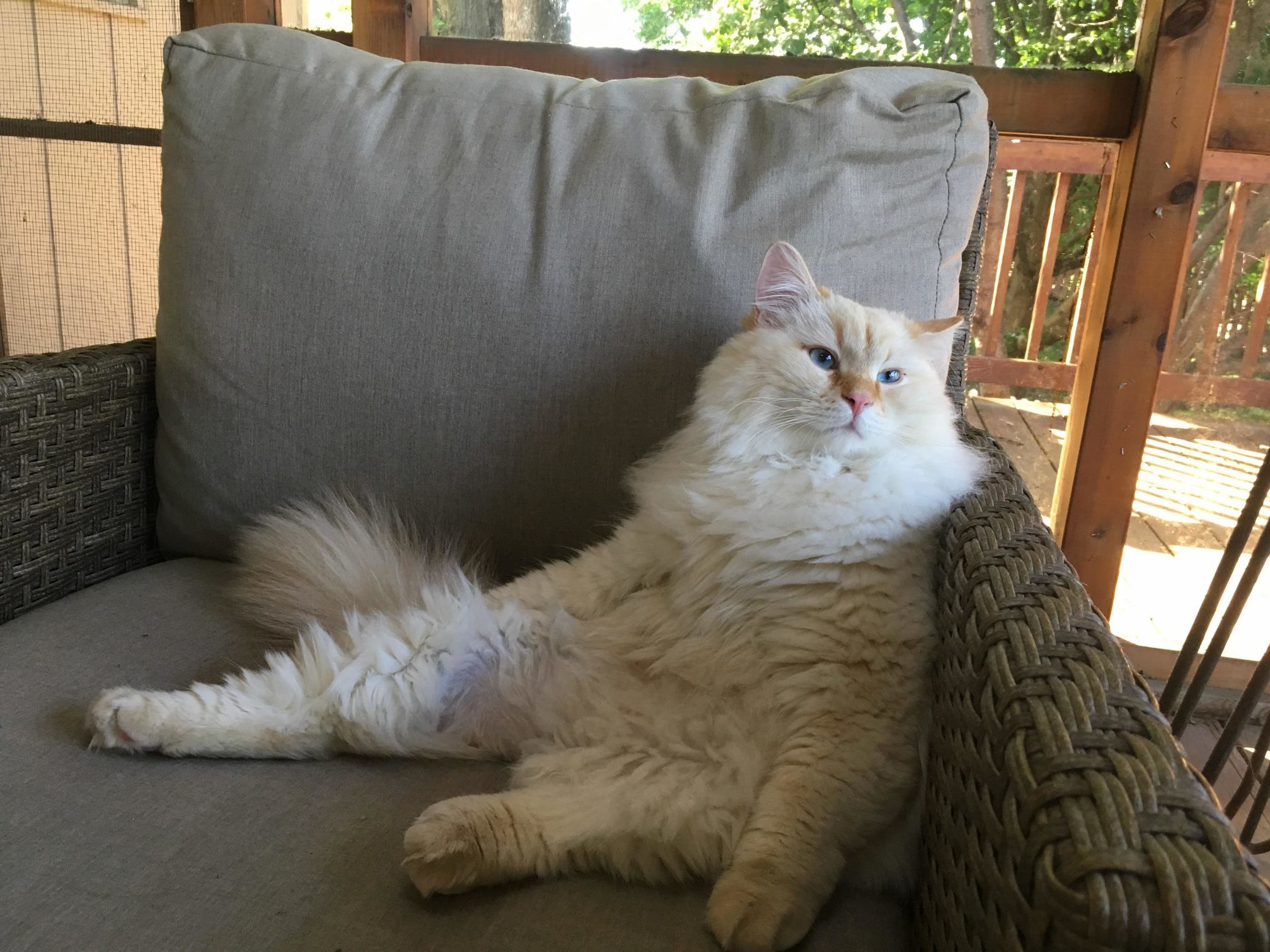 This Picture Makes Duncan Look Lost in Thought, but Really He Was Just Way Into a Bug Crawling Around