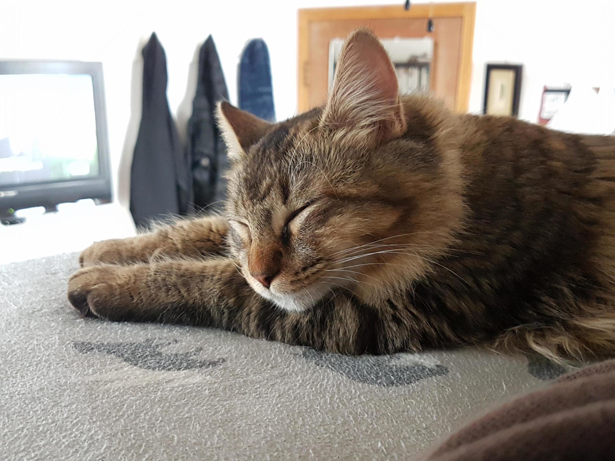 This Vicious Beauty.