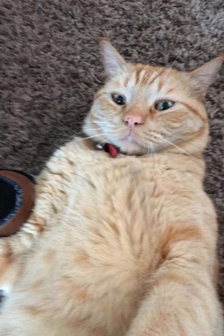 Thought I Look Cute, Idk Might Delete Later