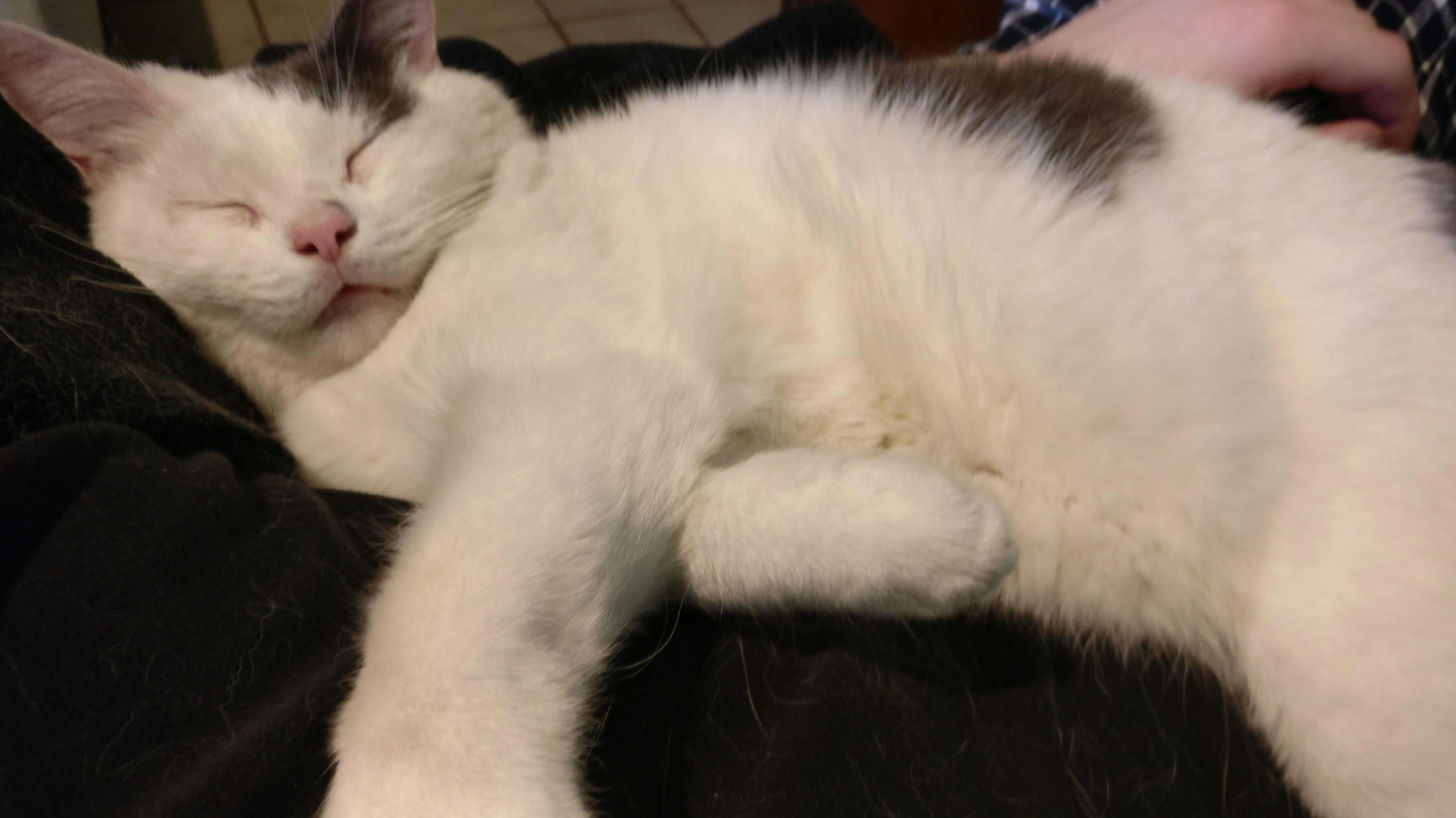 Tired After Playing... Zzz