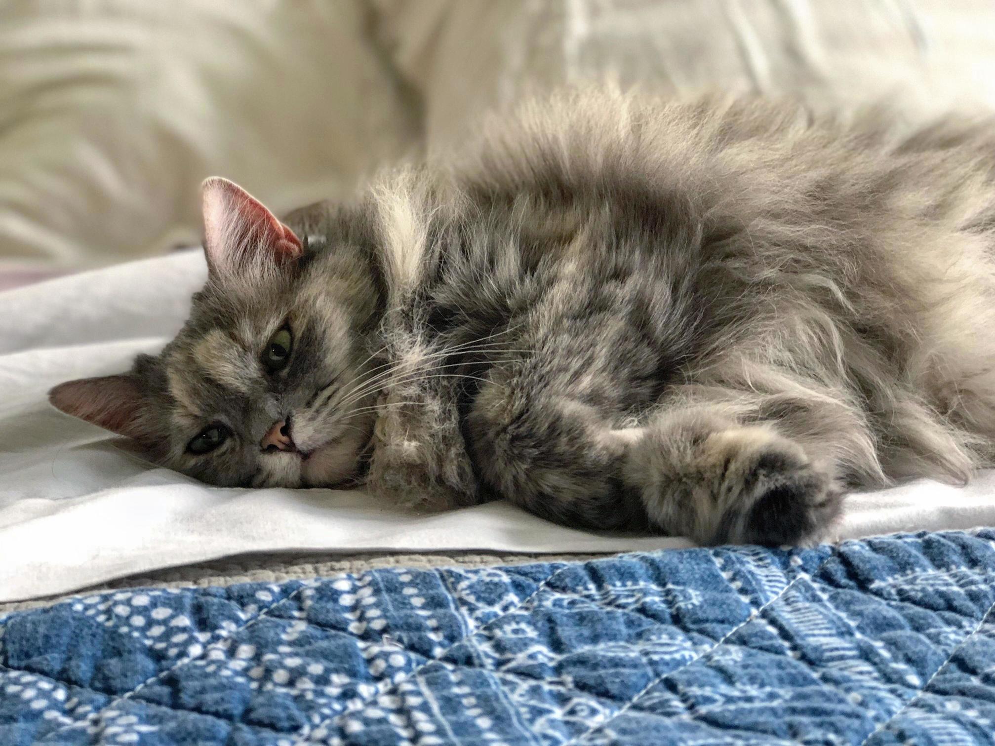 Tko.