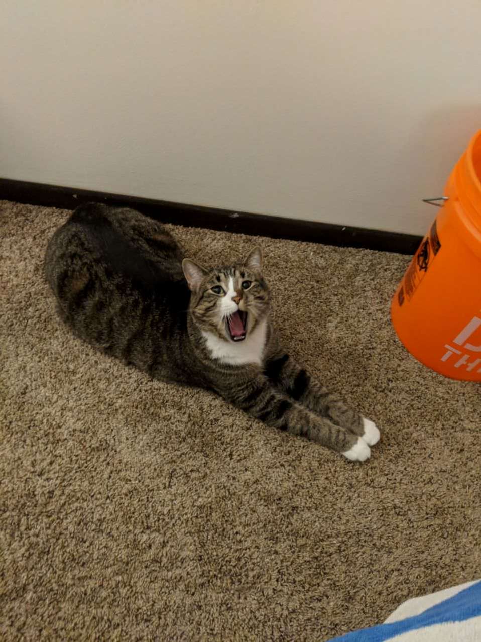 Told Him He Has a Big Butt