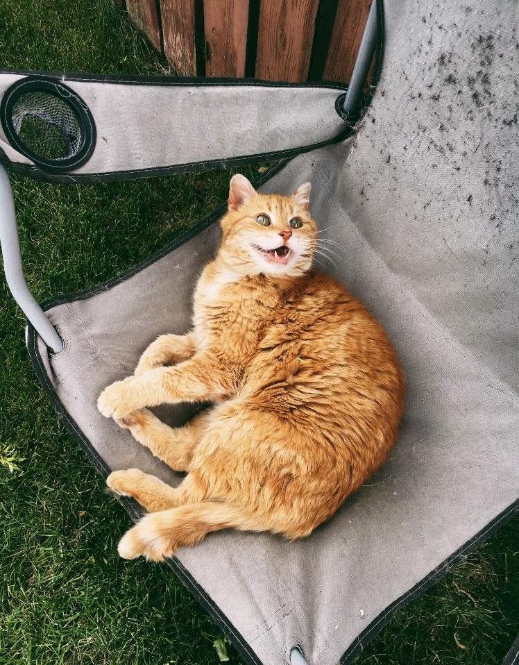 Took the Perfect Picture of Her Smiling