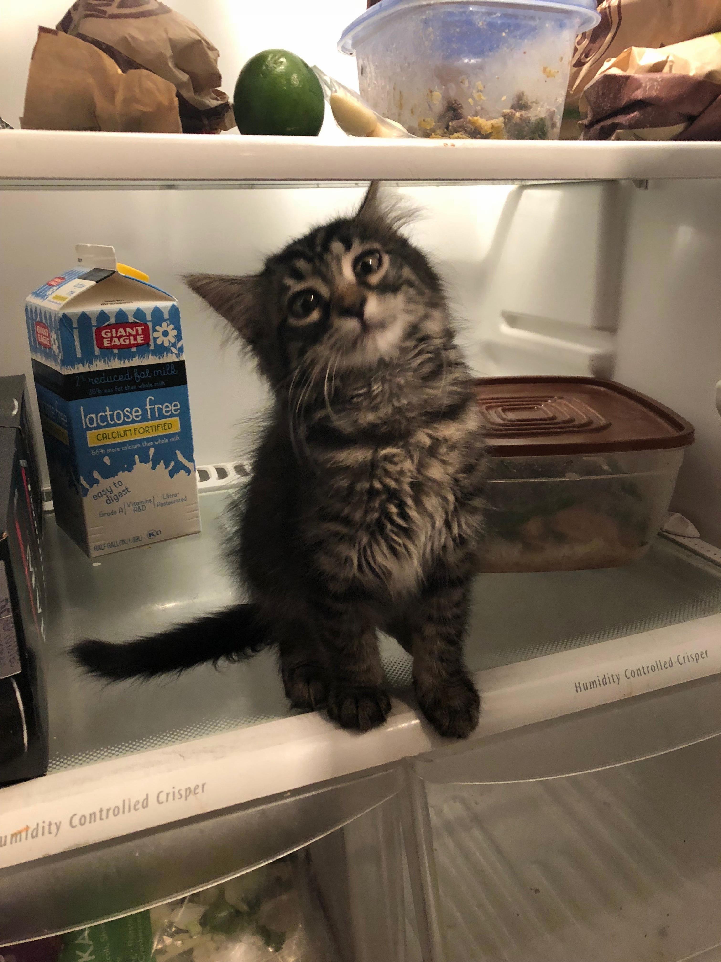 Walked Away for 1 Second ....