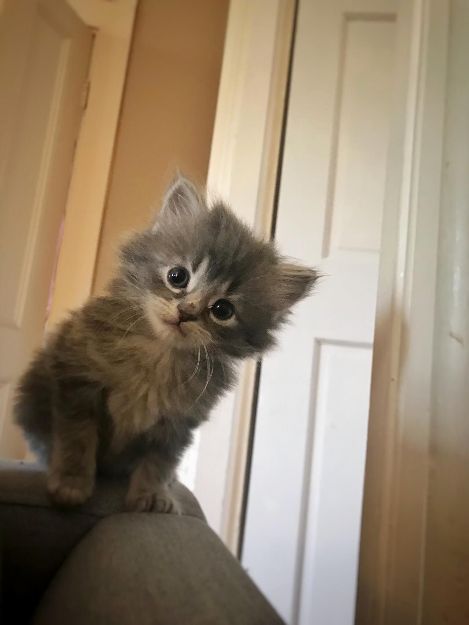 What Should We Name Her