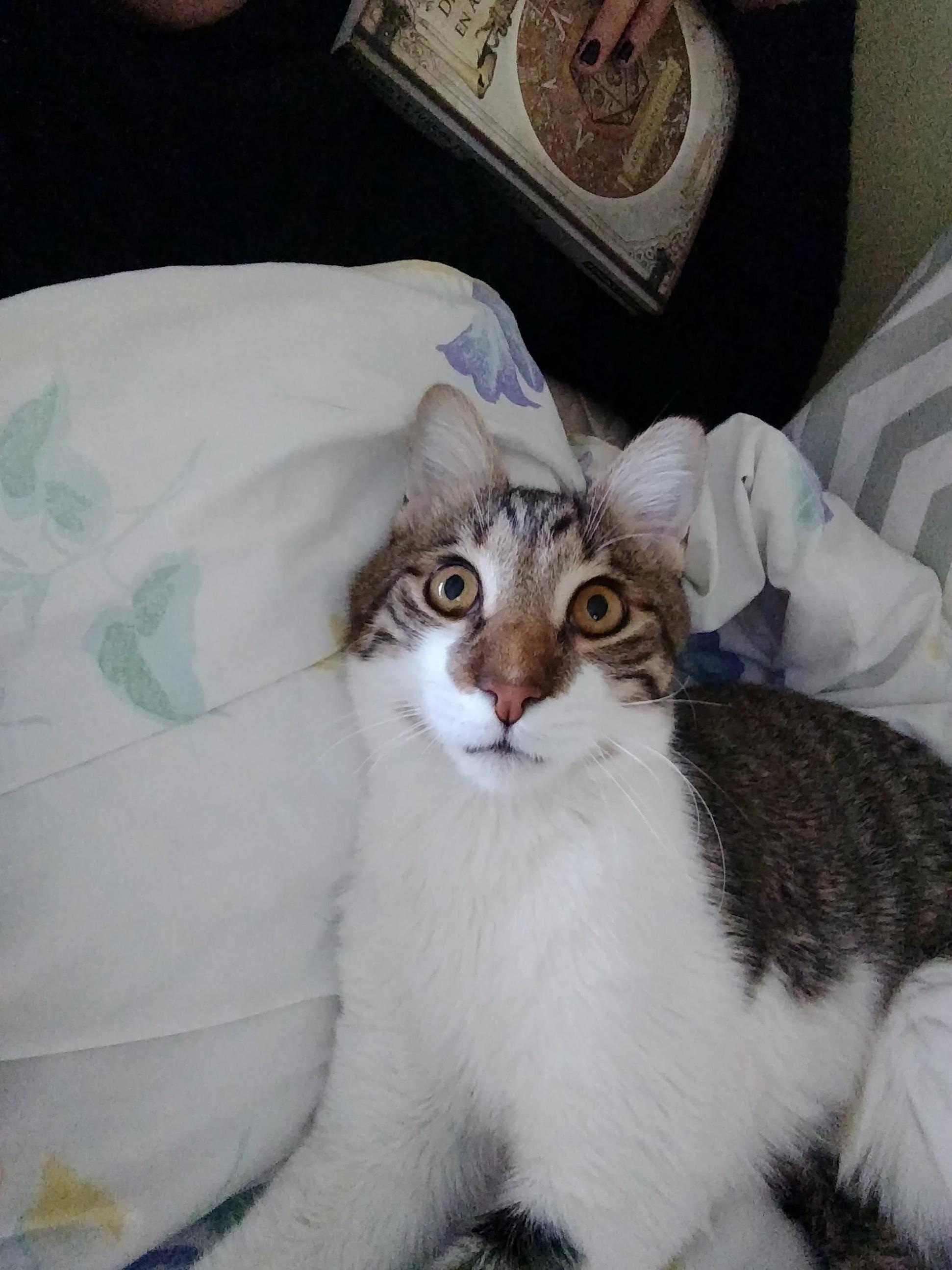When He Saw His Face on the Phone Screen