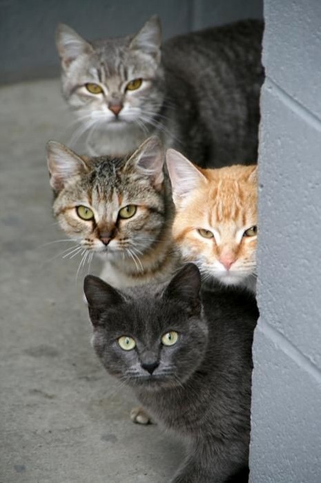 When You Get That Look and All You Can Think Is That Theyre Up to Something