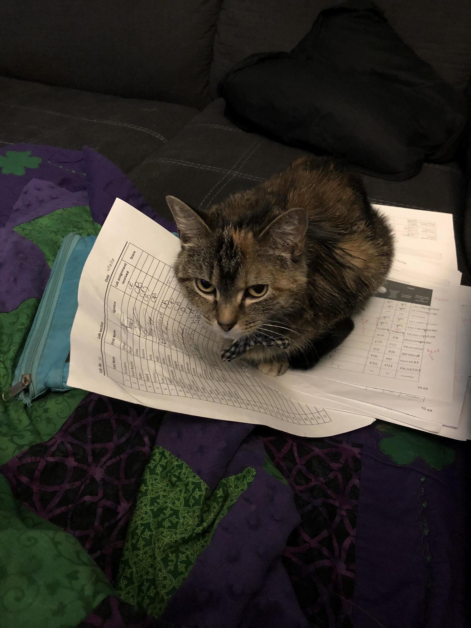 And Now Salem Doesnt Want Me to Grade