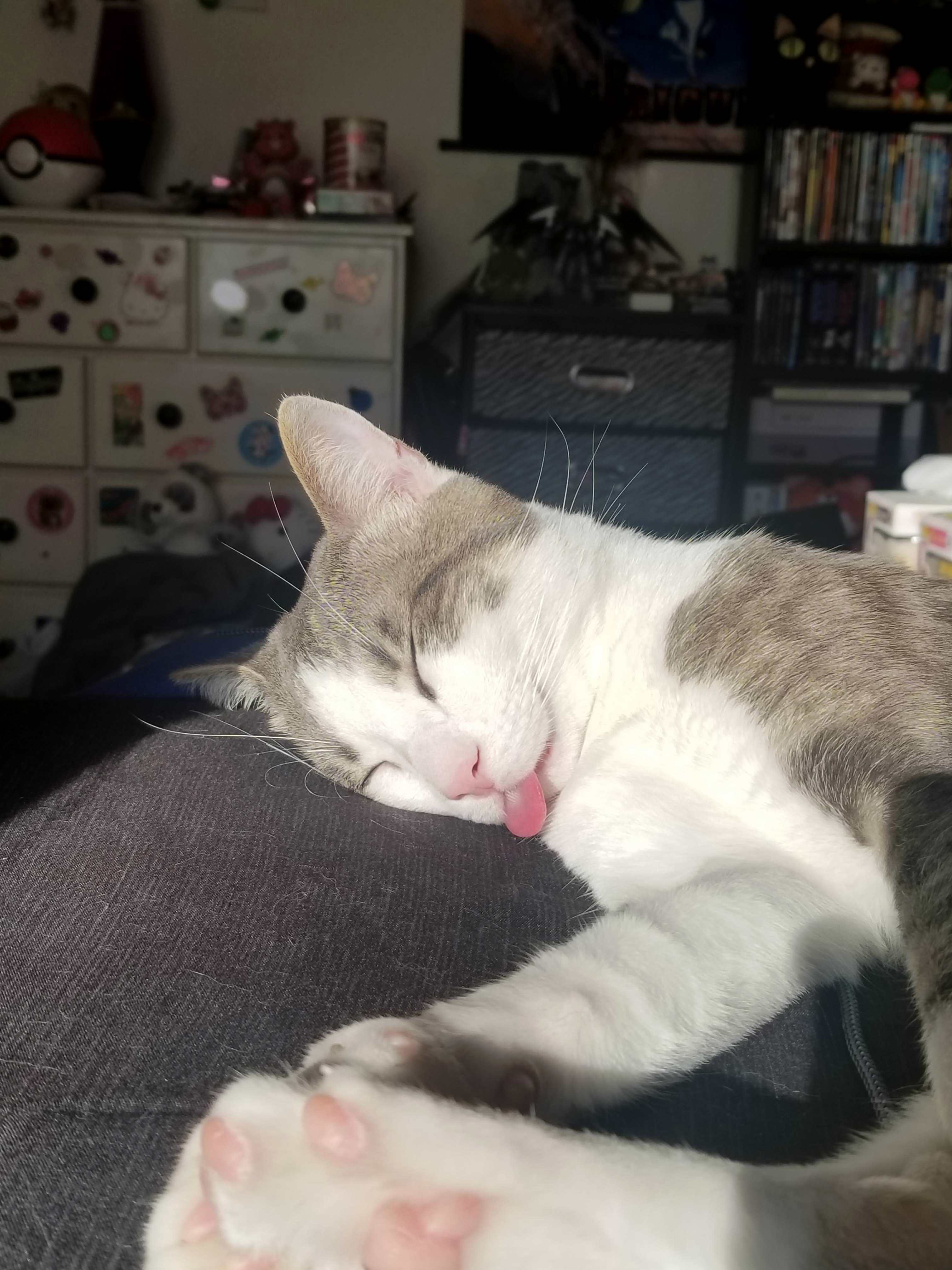Big Blep Boy