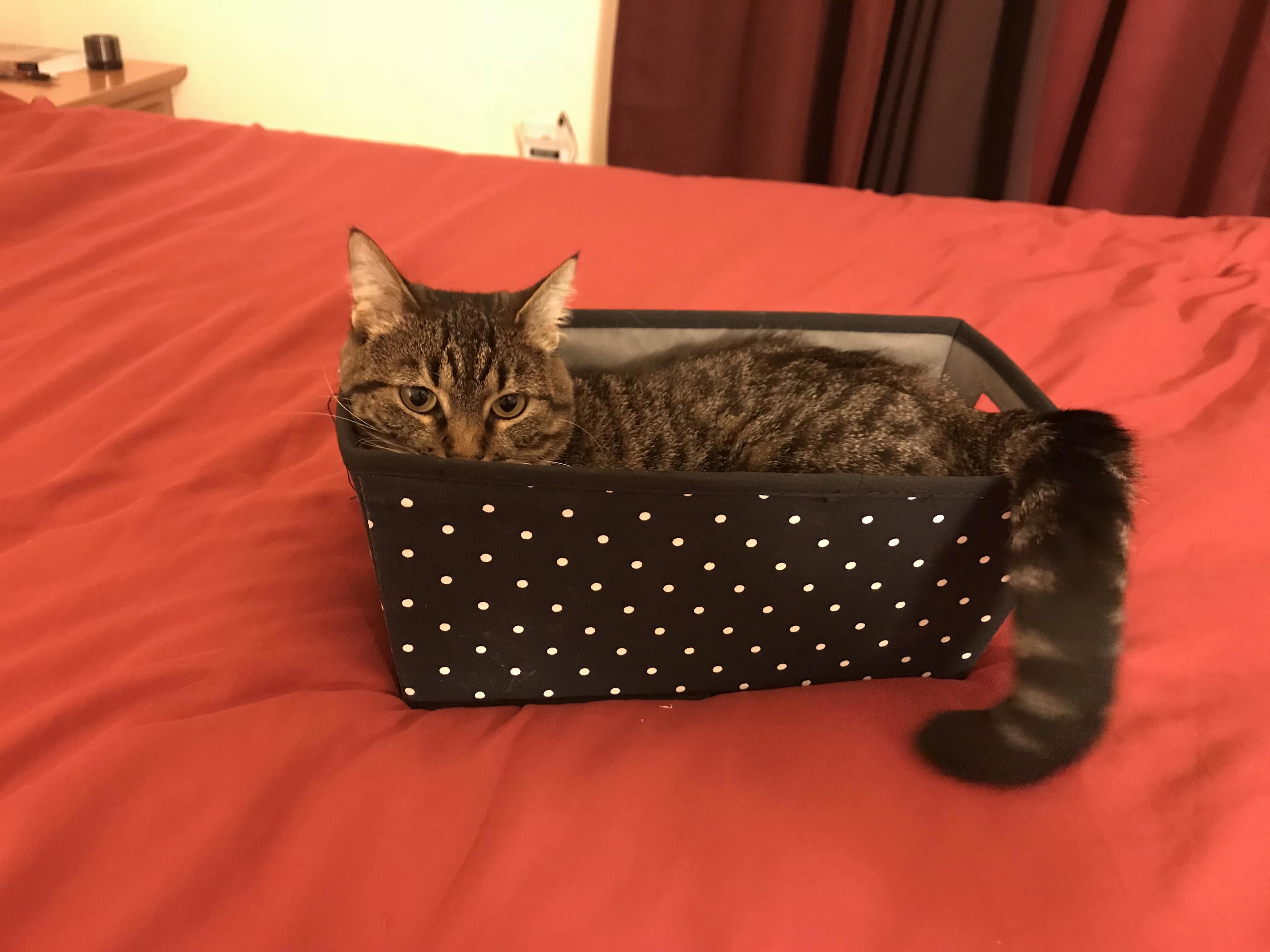 Come Back Later. This Ones in Use.
