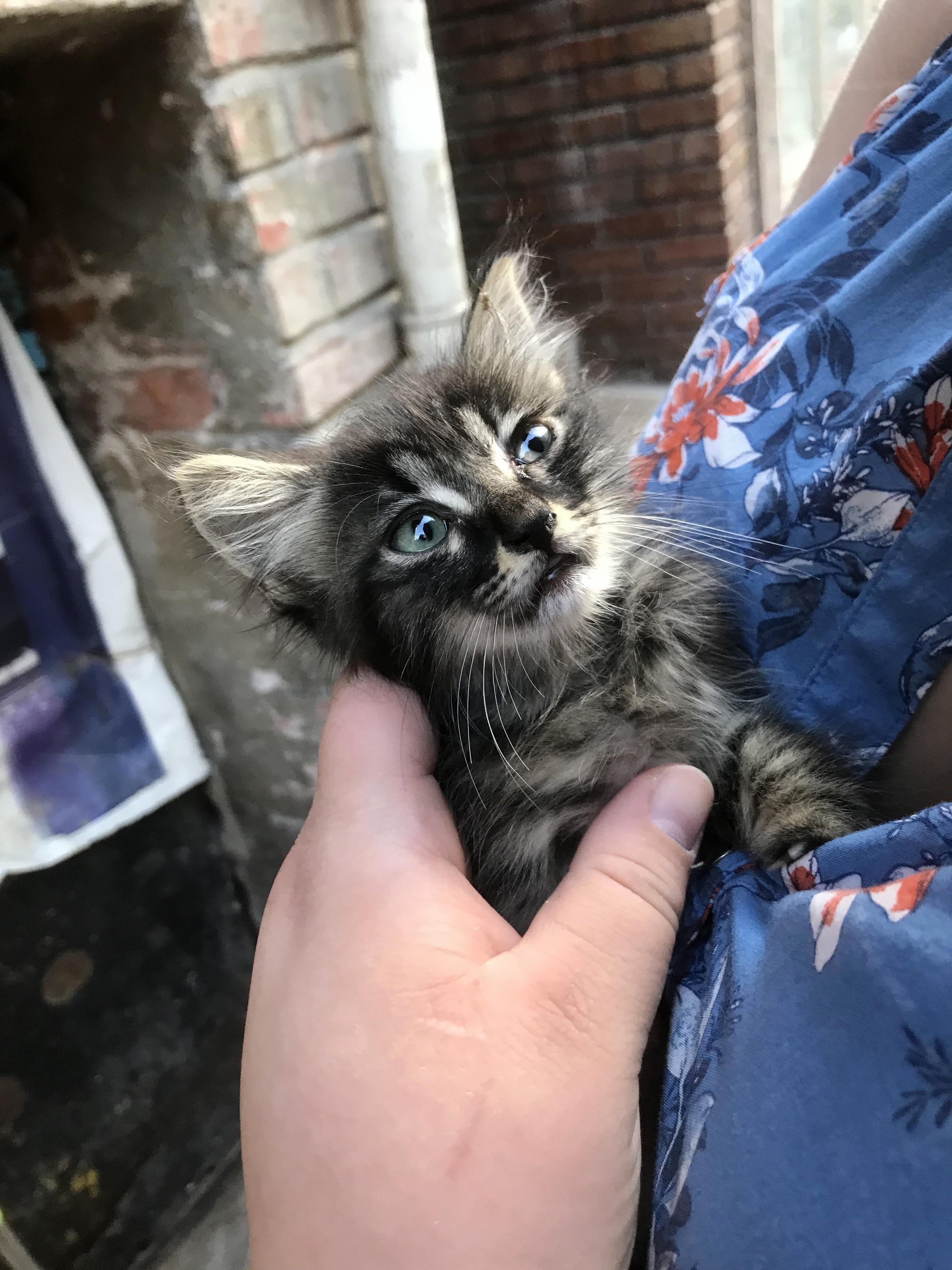 Found This Little While Walking in Istanbul