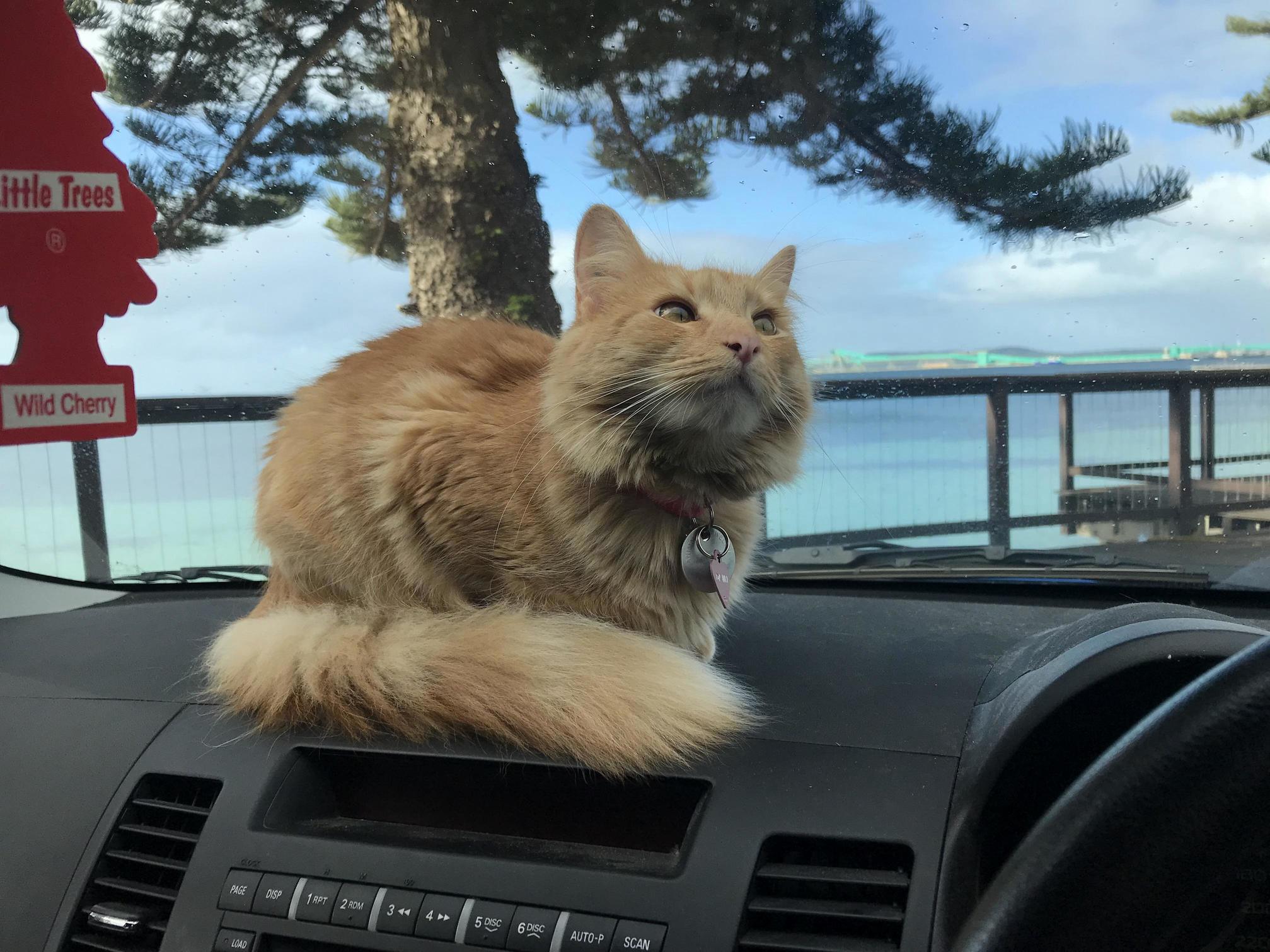 I Took Dawn to the Beach Where She Achieved Her Dream of Being a Model.