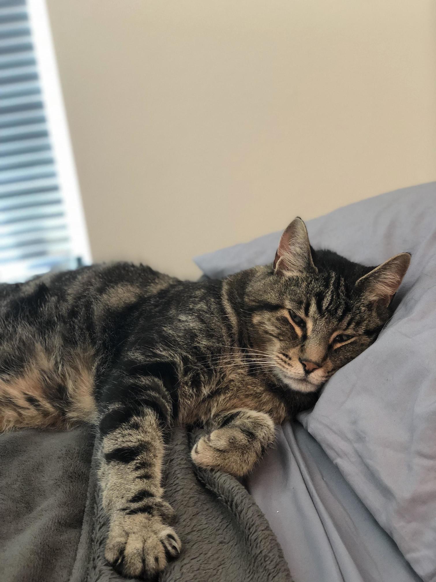 I Woke Up in Bed with a Very Handsome Man This Morning.