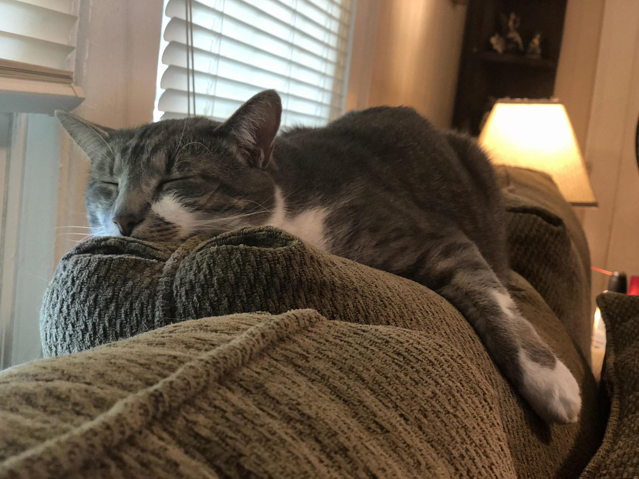 Lazy Loaf