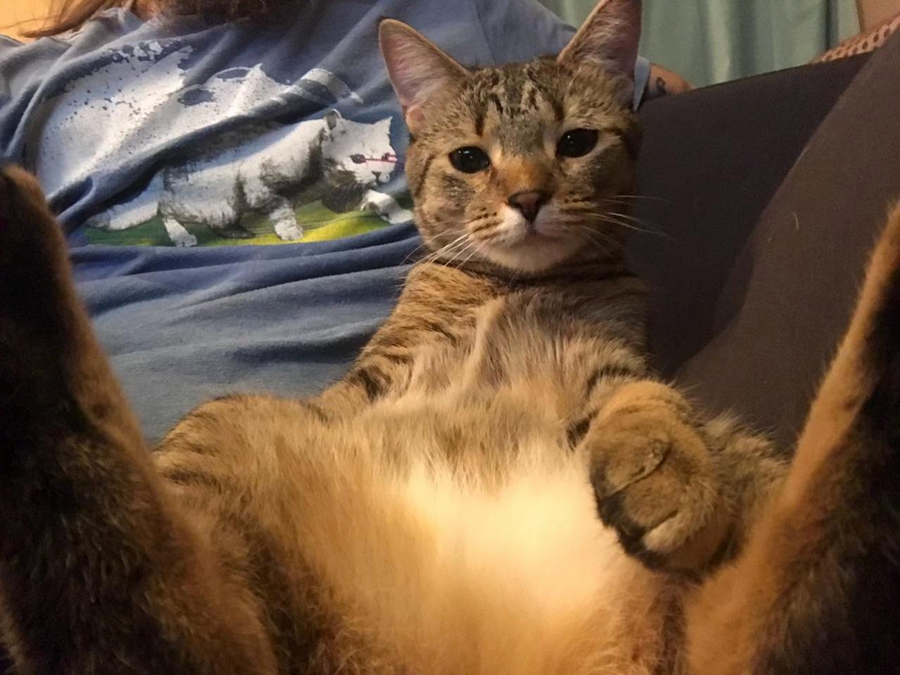 Moto Knows How to Relax