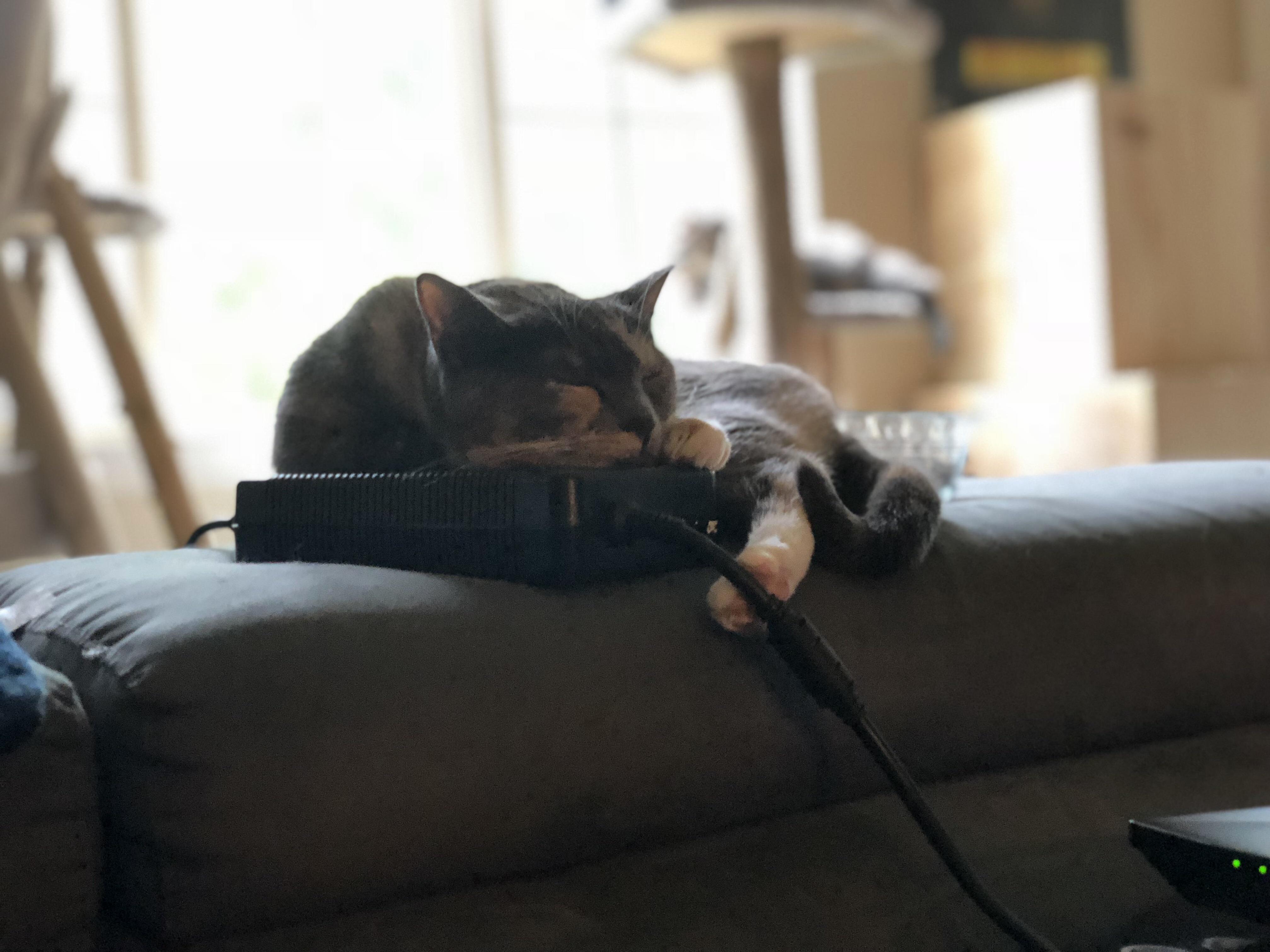 Must Love Power Brick, All the Warmth