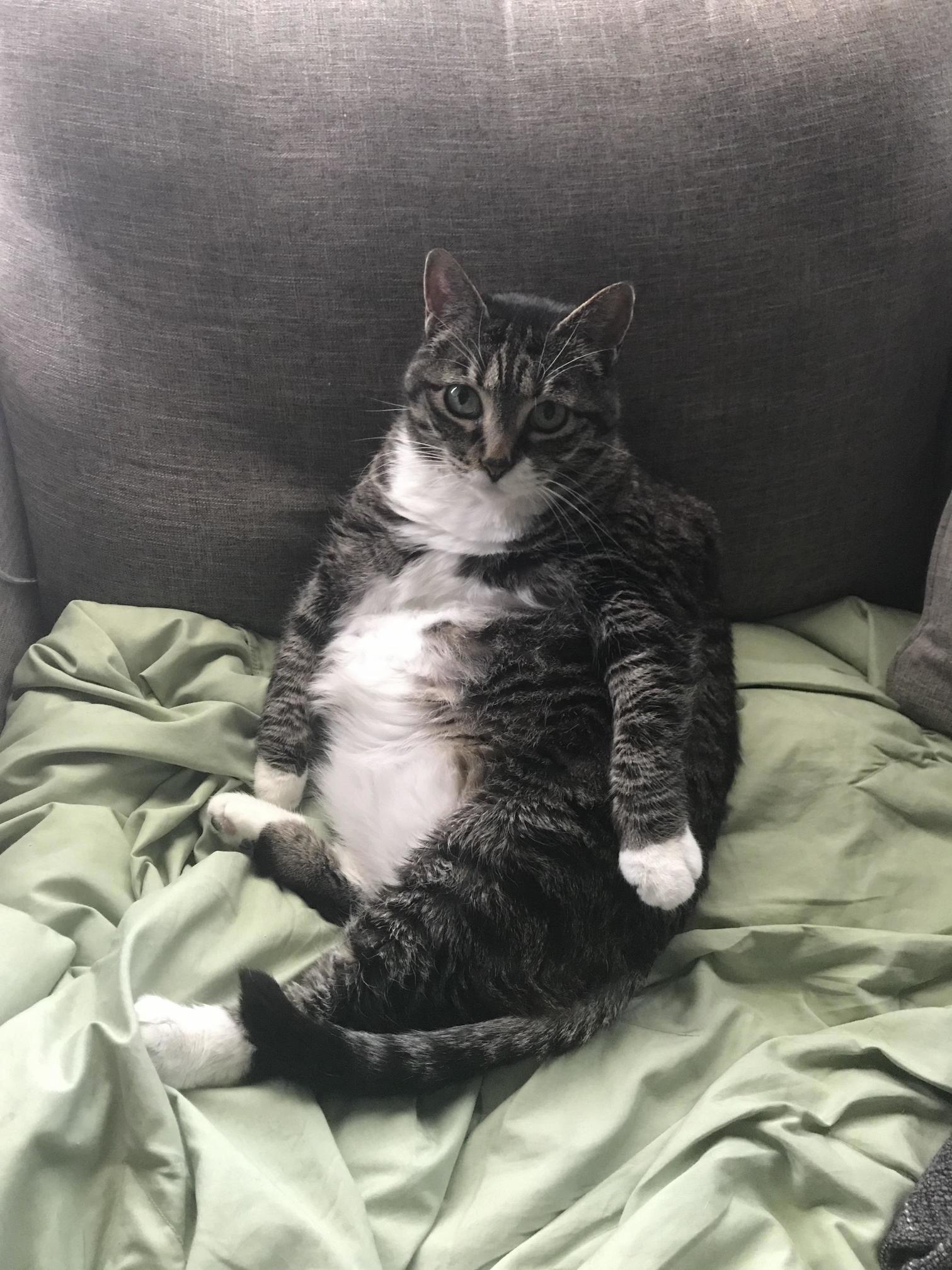 My Daughter Says This Is 16 Lbs of Love