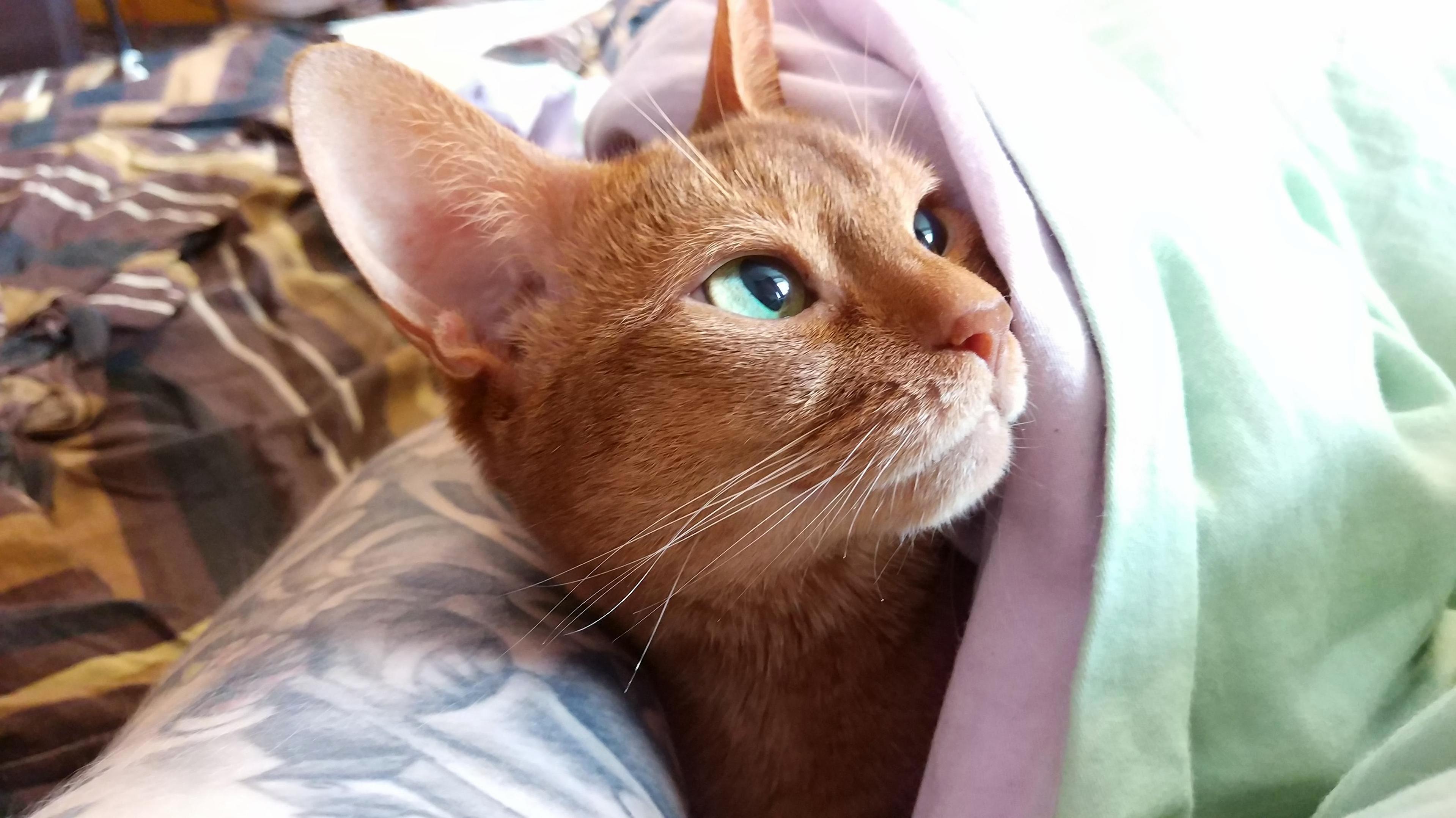 My Lovely Girl Grace Kelly.