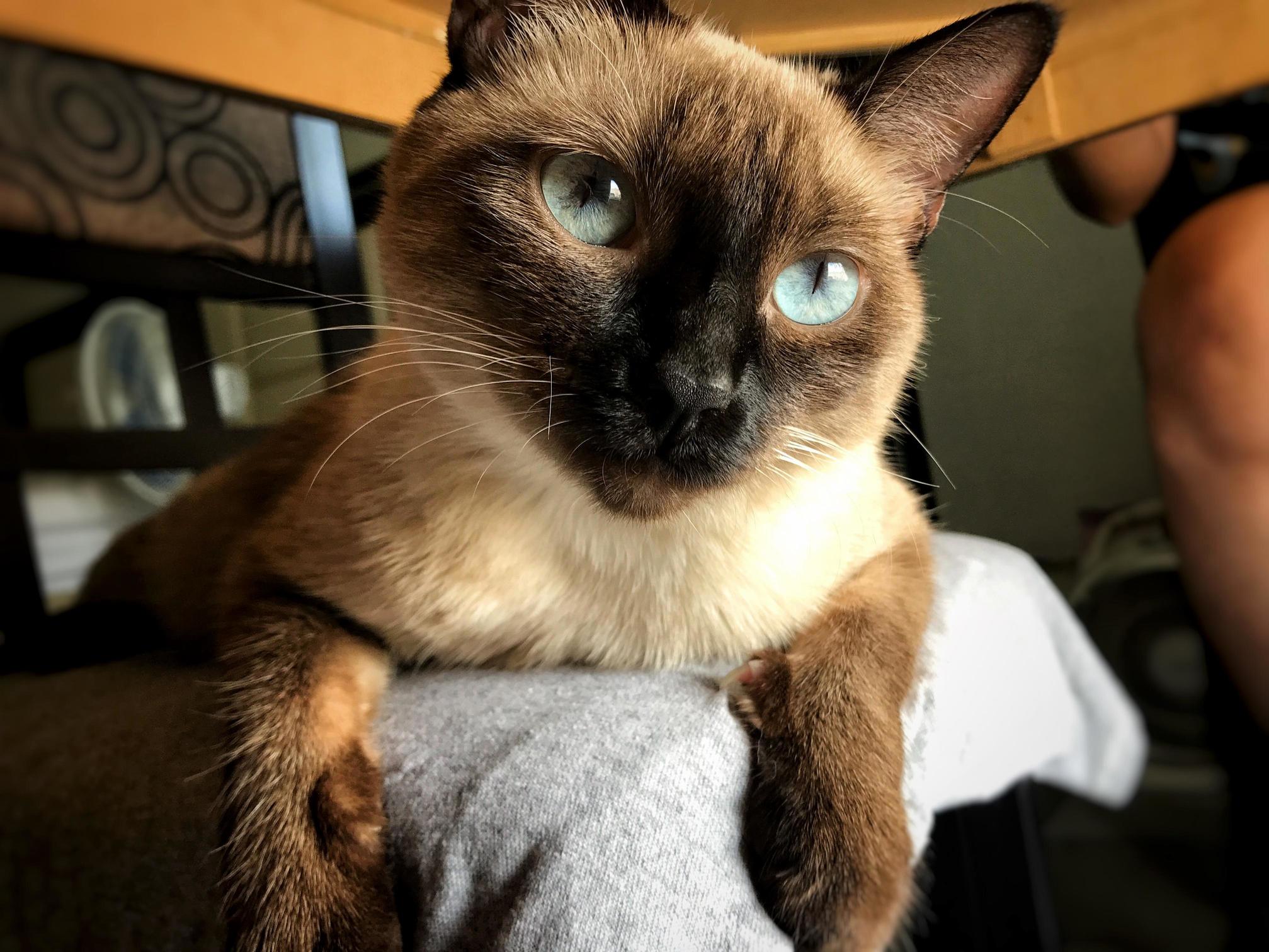 New Favorite Photo of My Sweet Girl