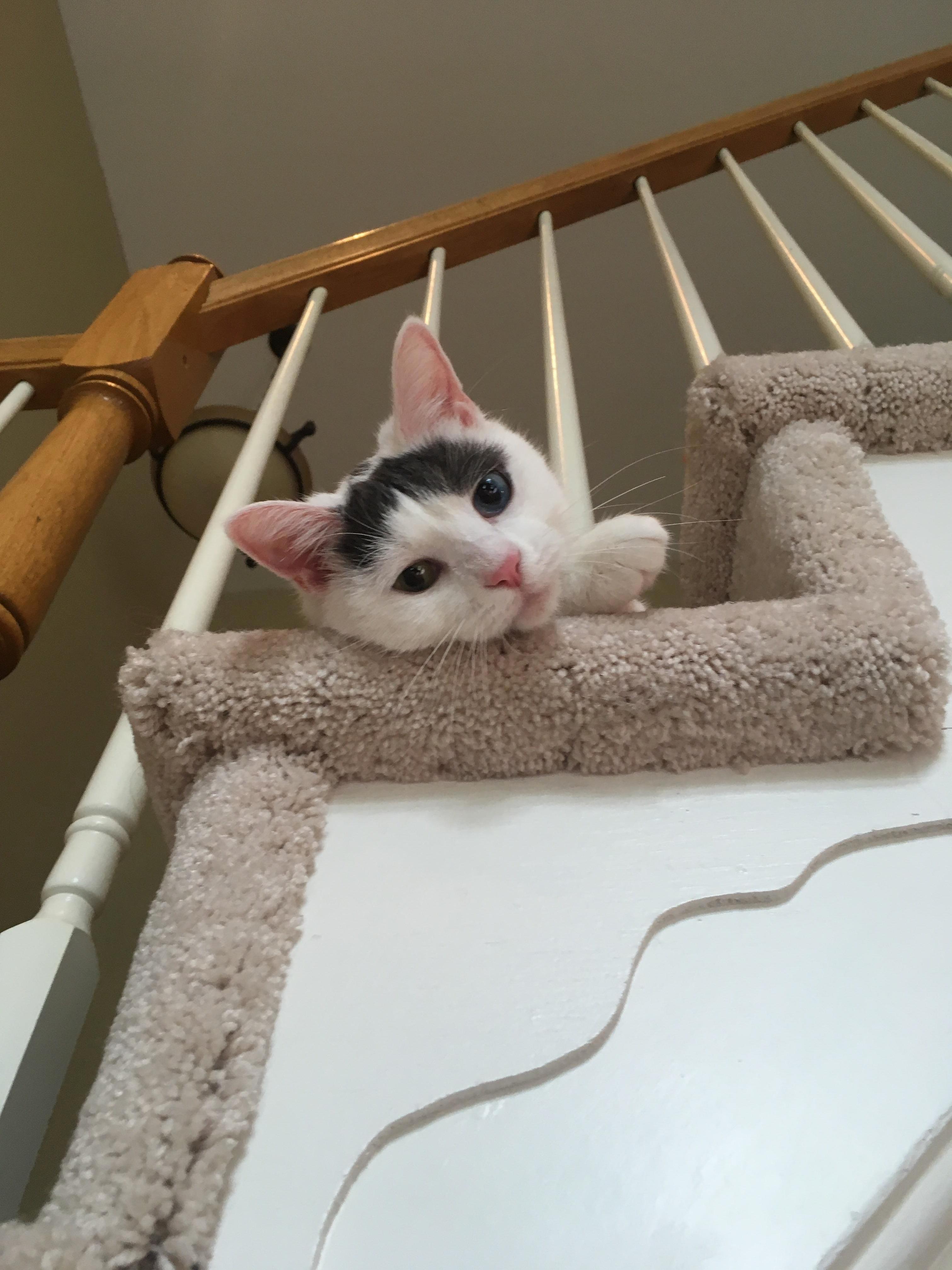 Pay Attention to Me