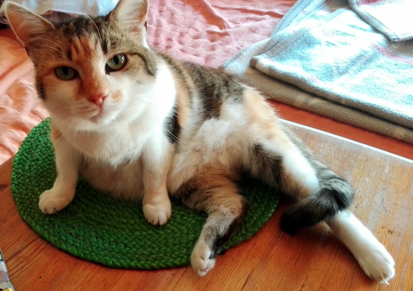 Posing Like the Diva She Used to Be