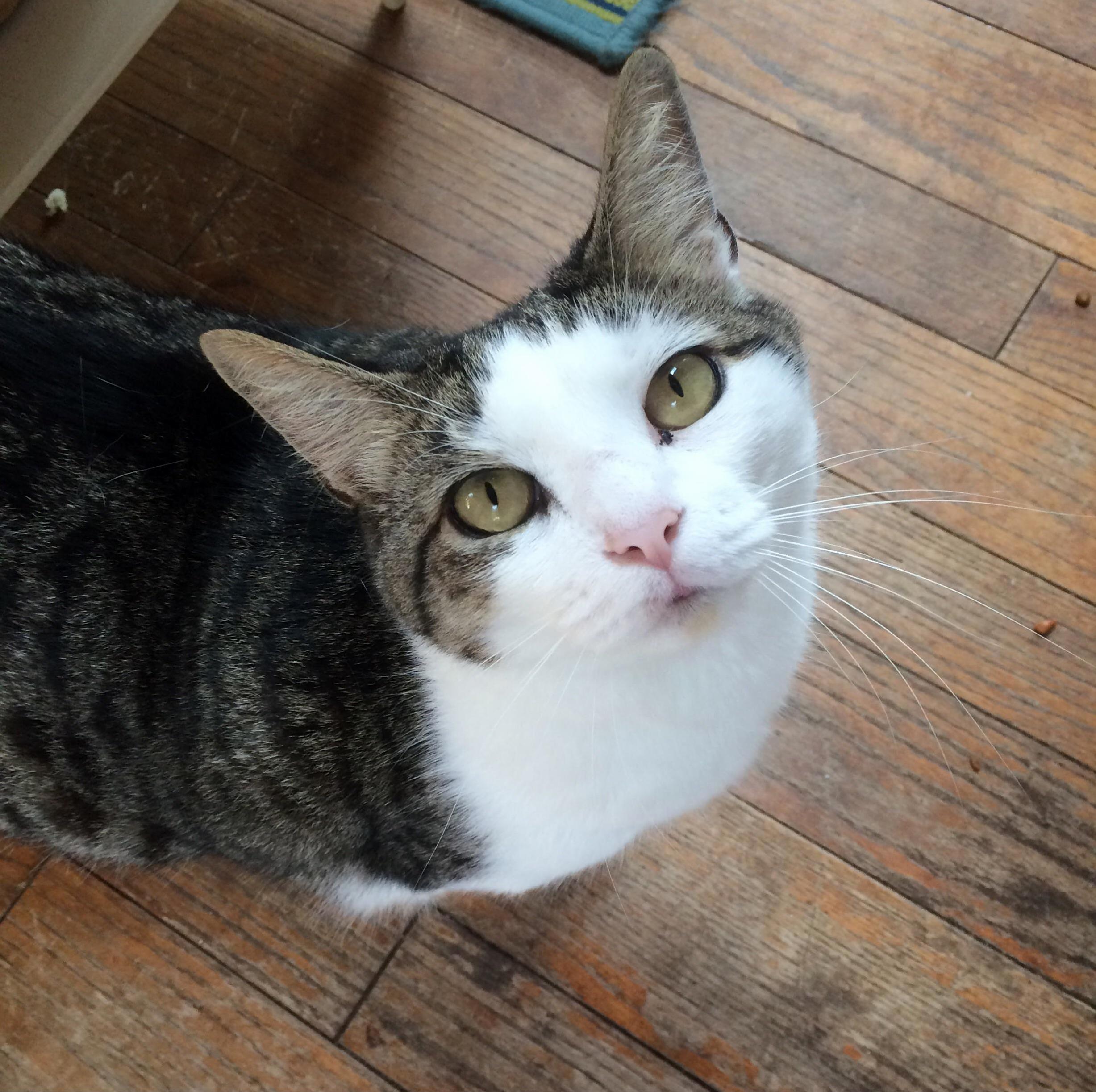 Rip Charlie. 25lb of Pure Love.
