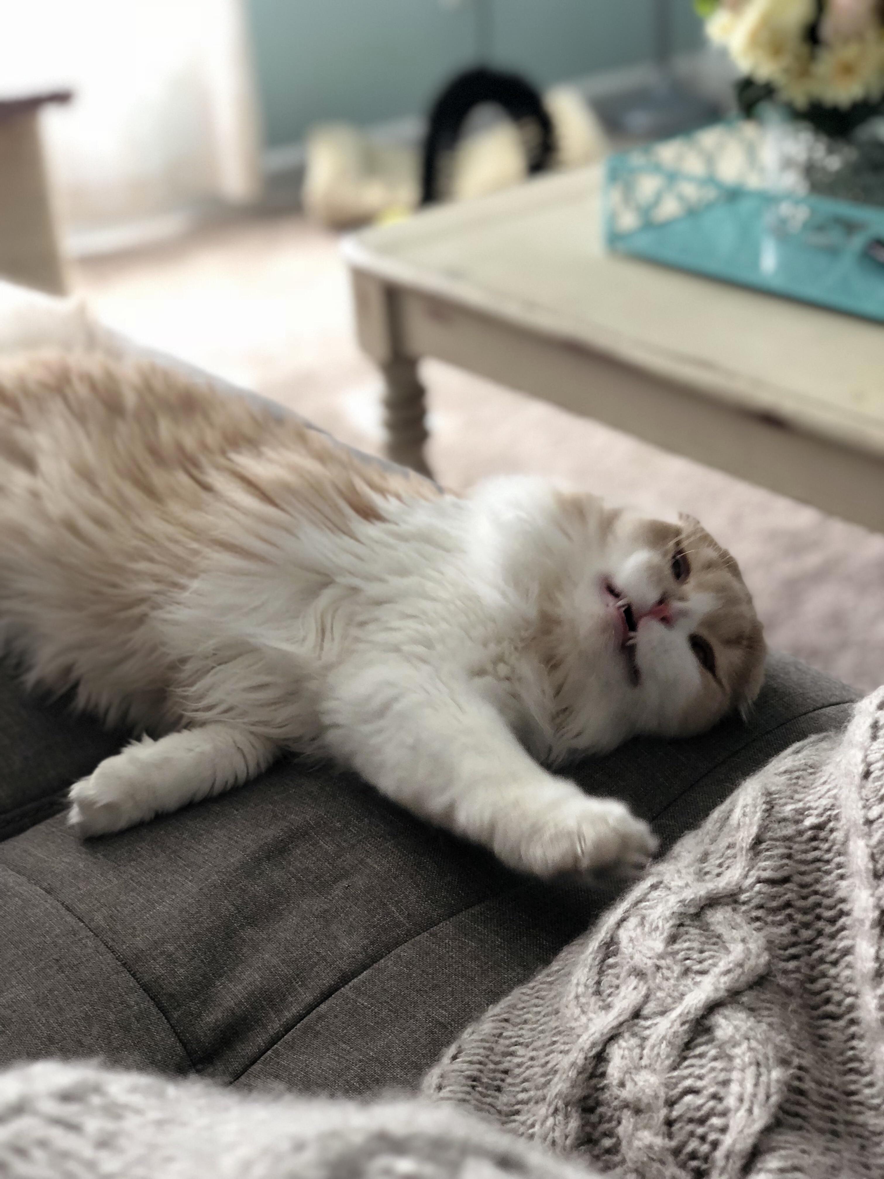 Say Cheeeeeese