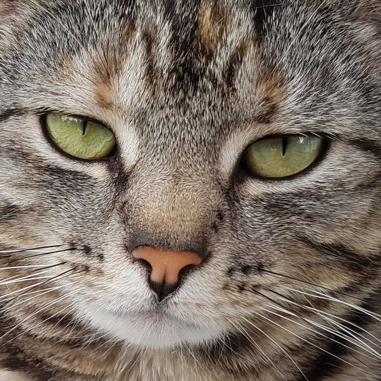 She Is So Done with Your Sht