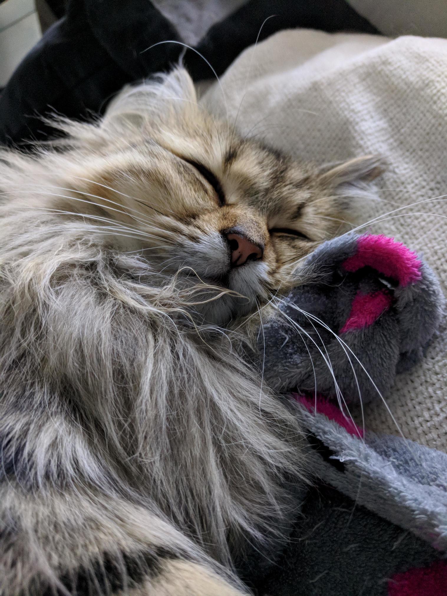 She Looks Cute So I Thought I Would Share.